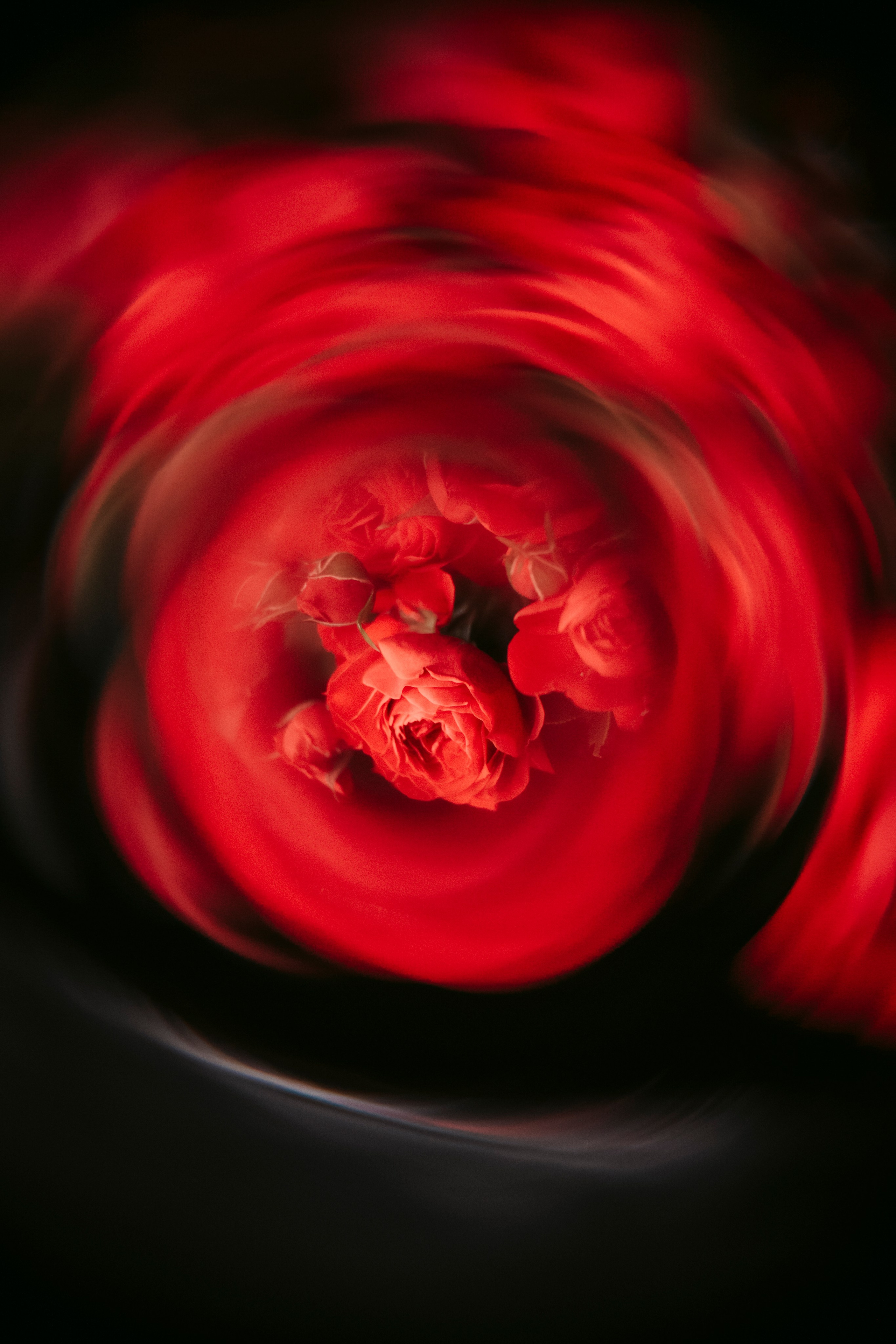 Цветочный андеграунд. Главная