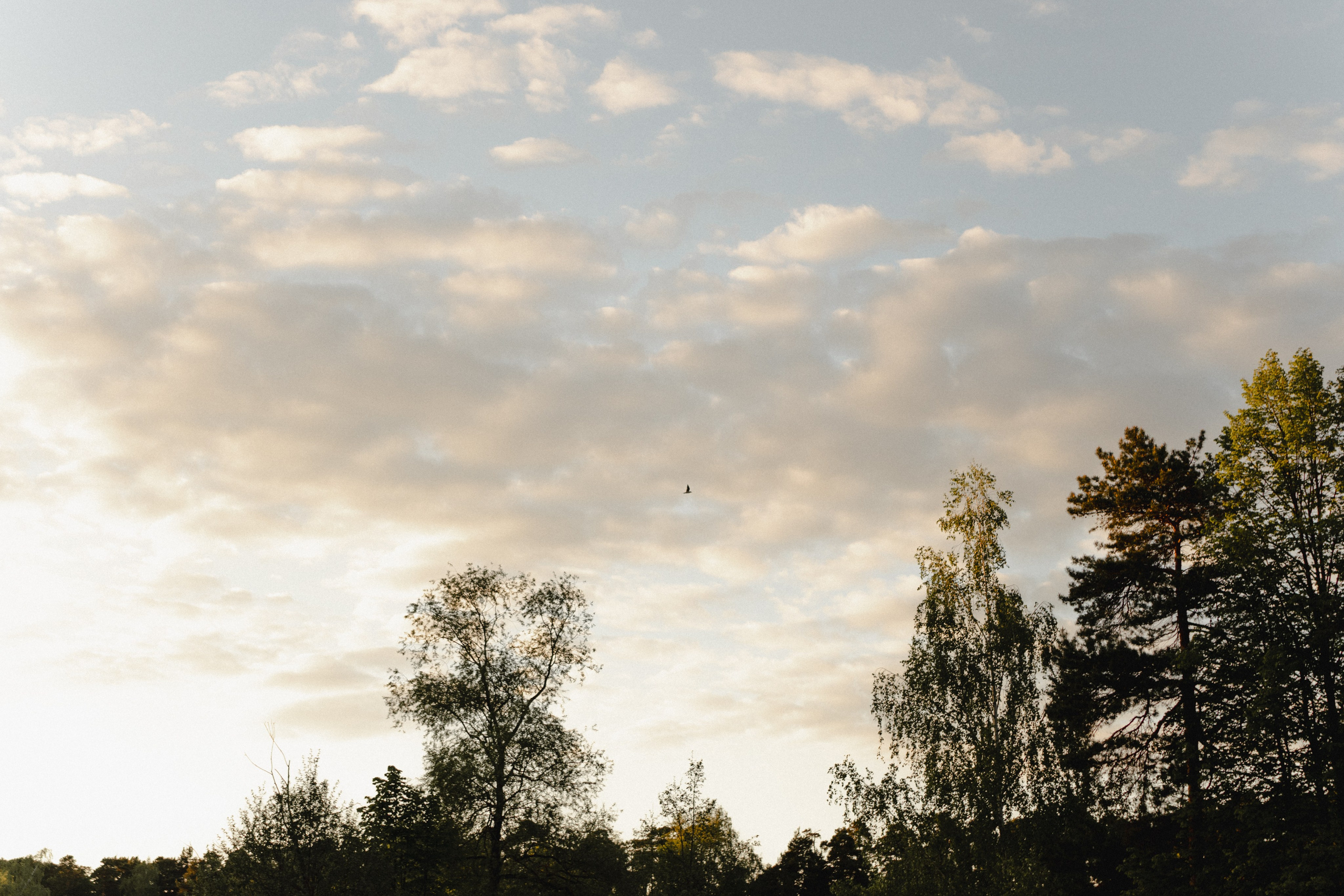 Сладкий май. Фотограф Анна Кобазева, Москва