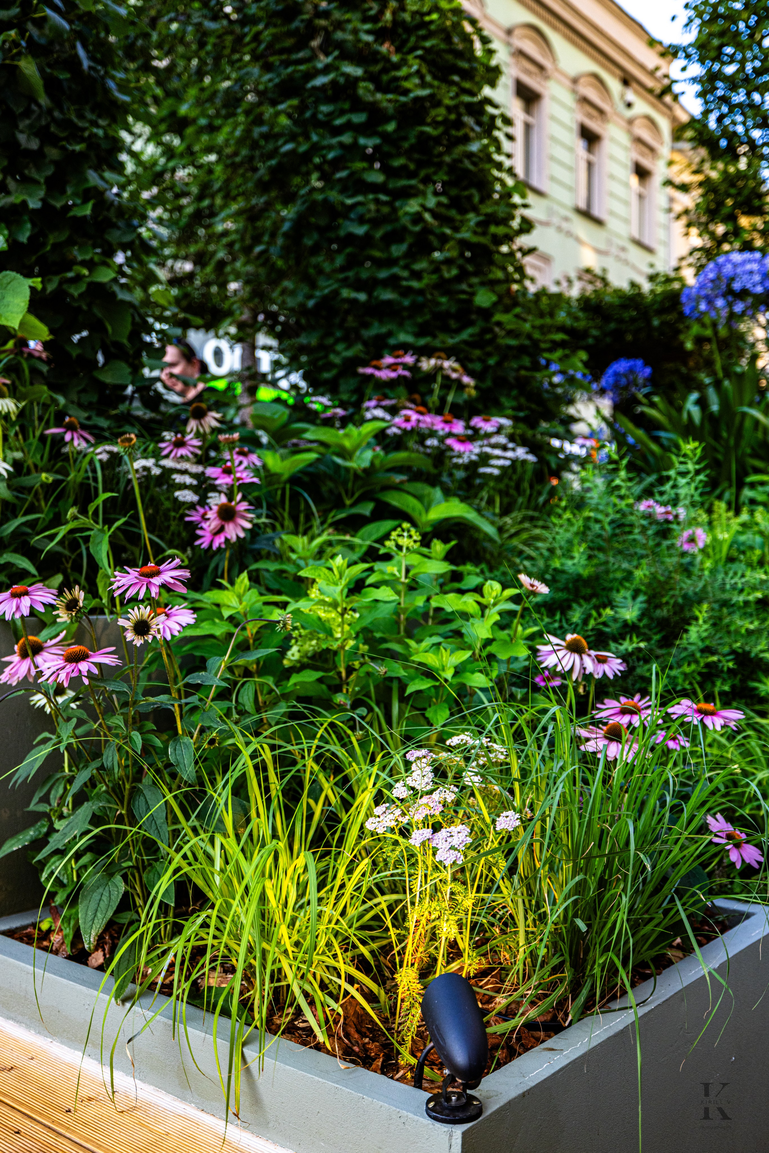 Москва. Август 2025 года. Кузнецкий мост. Люди, детали. Фотографирую жизнь! Московский фотограф волонтер