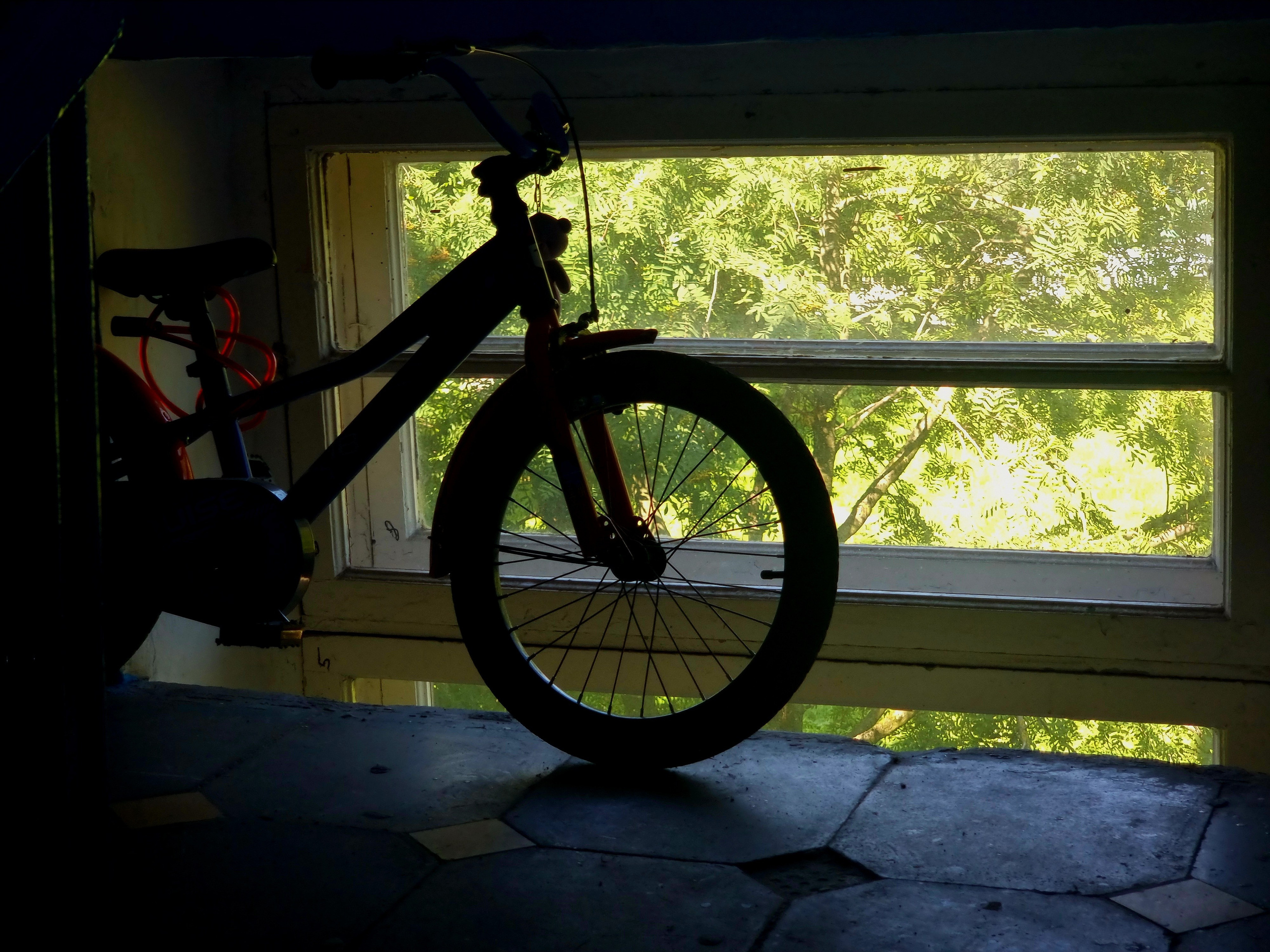 Июль 2025. Den Mirov — Фотограф, Музыкант