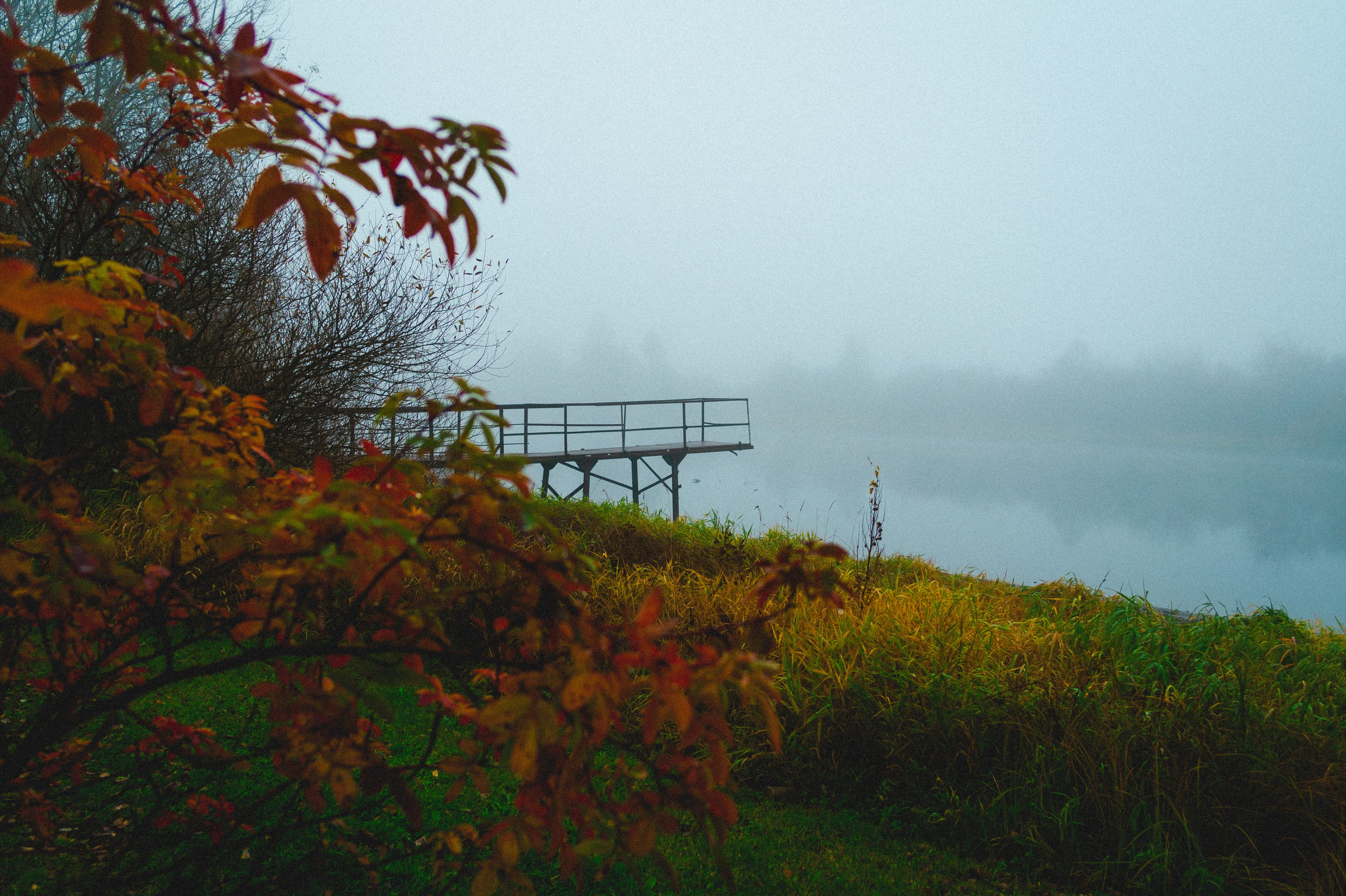 Октябрь 2025. Den Mirov — Фотограф, Музыкант