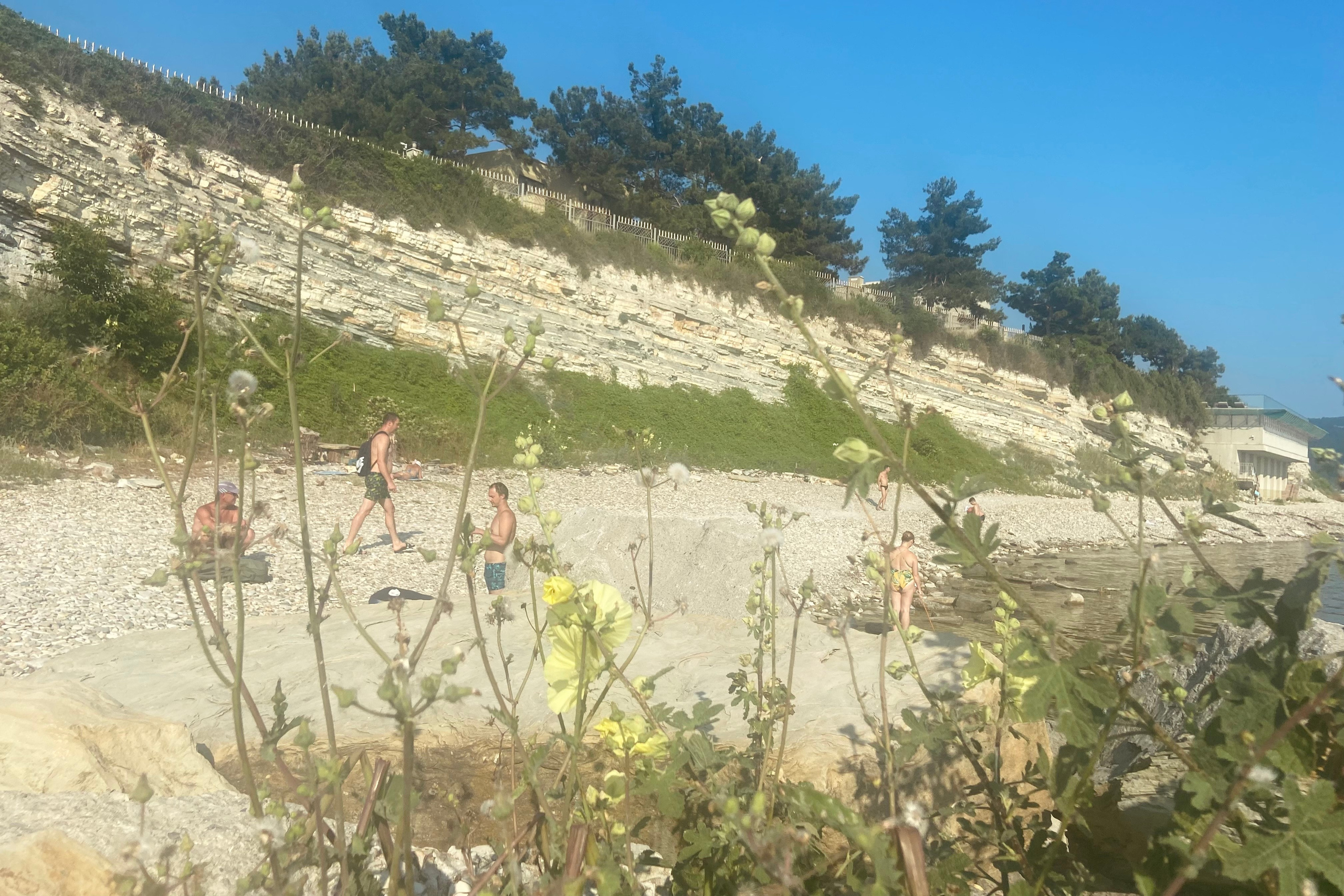 Автор: Евгения Полонская