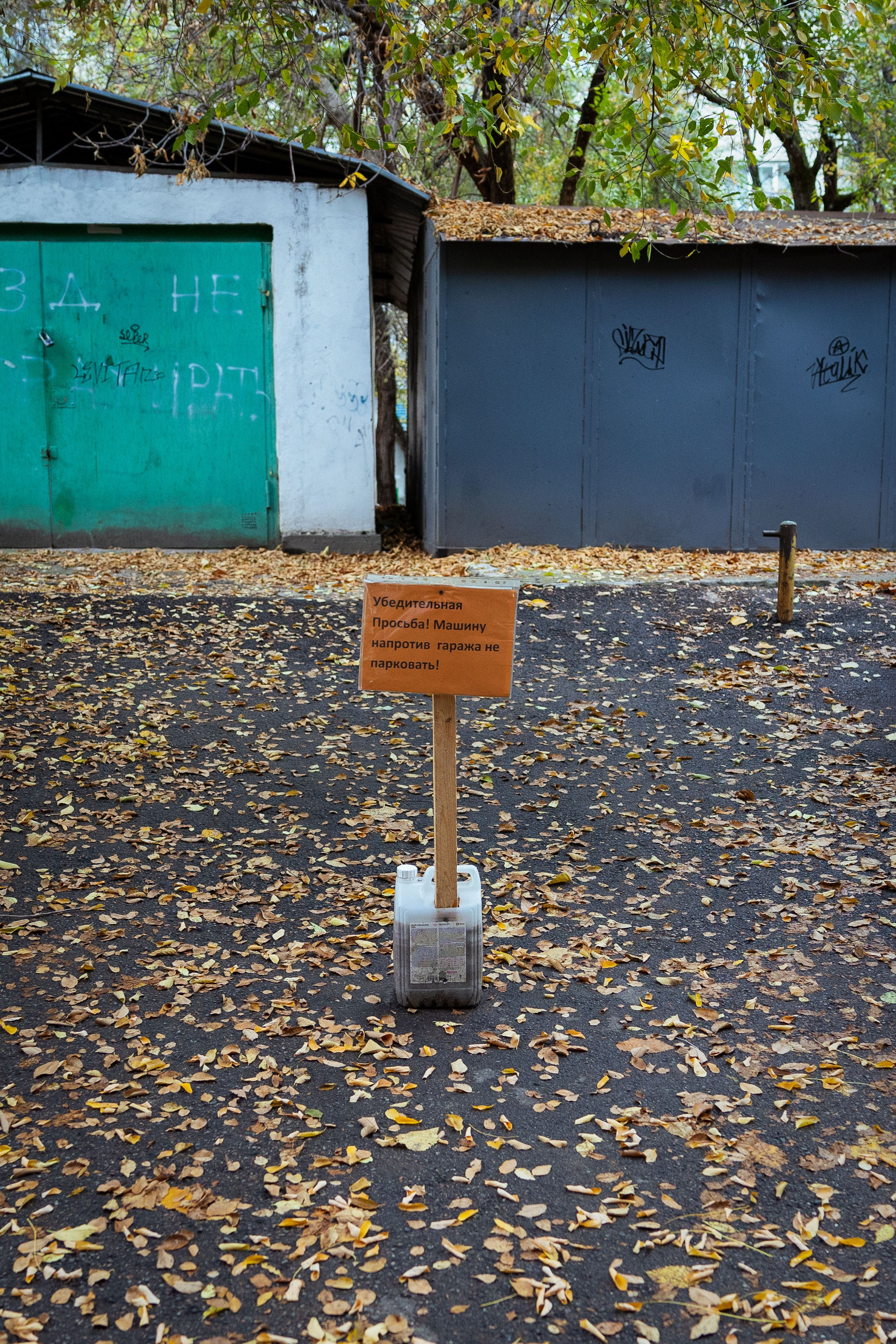 Казахстан (осень 2024). Фотограф Виноградов Константин