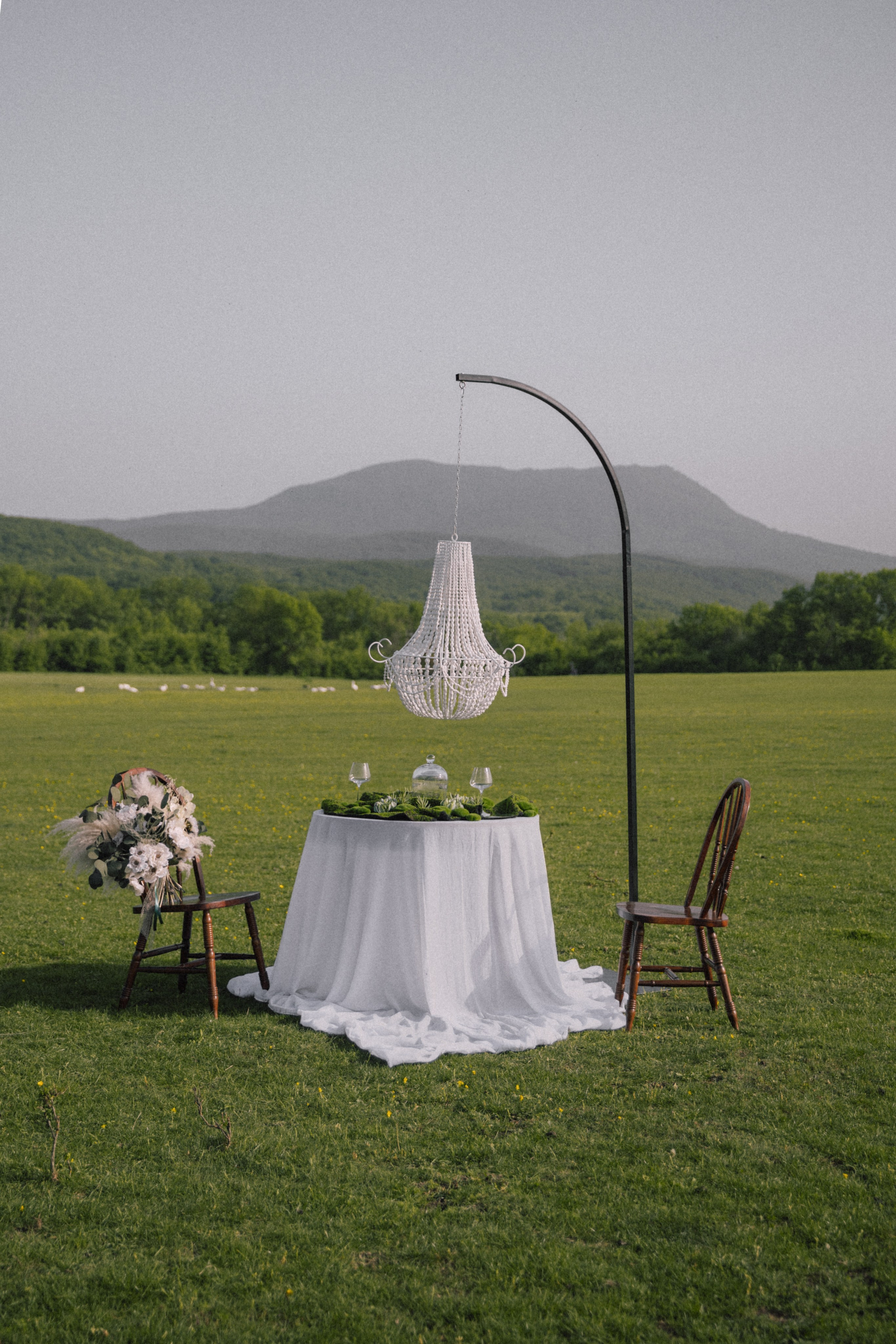 Владимировка. Фотограф Краснодар Юлия Бураченко Свадьбы Репортаж Семейные Индивидуальные съемки