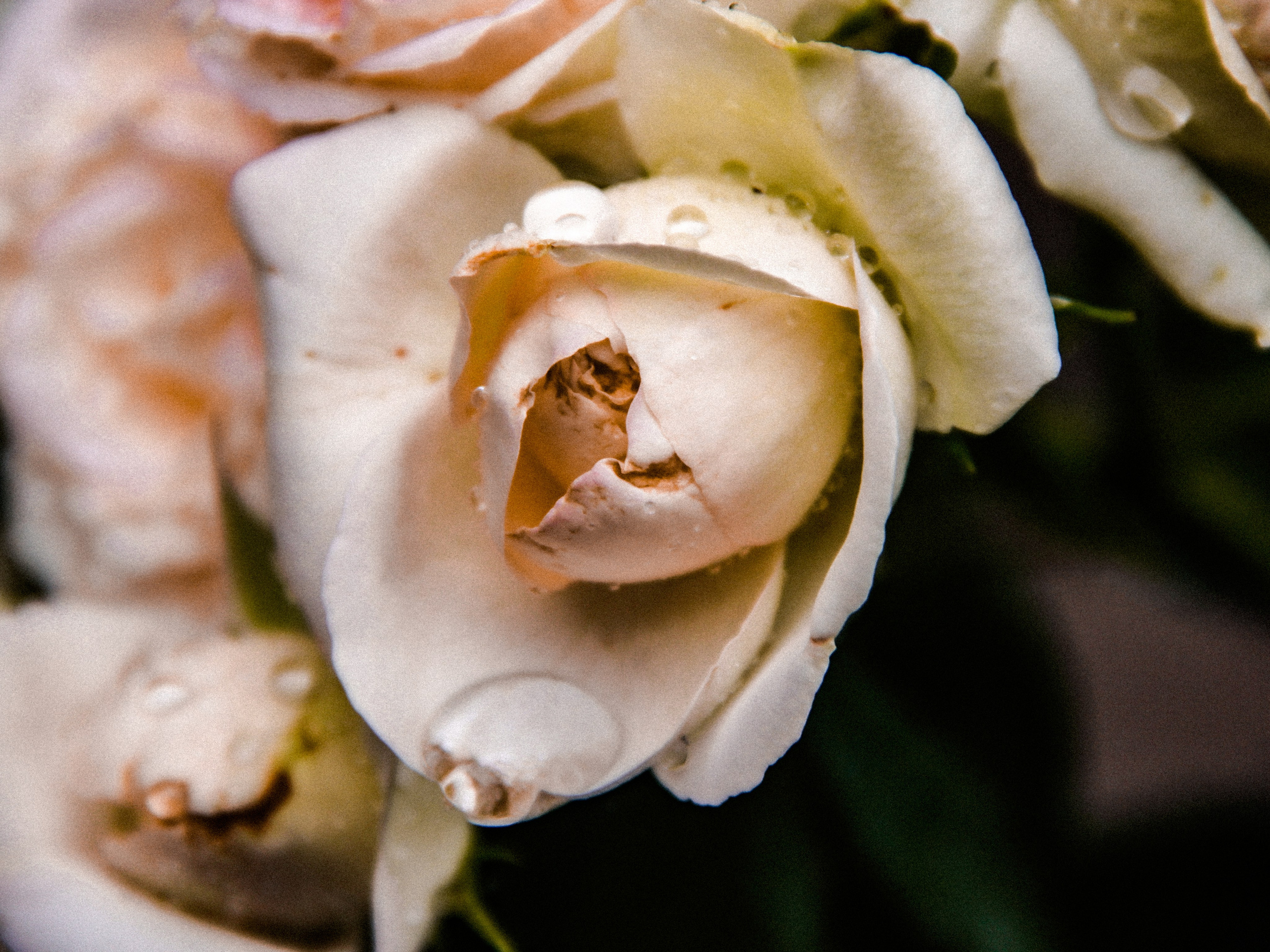 Art. Photographer Mary Matveenko