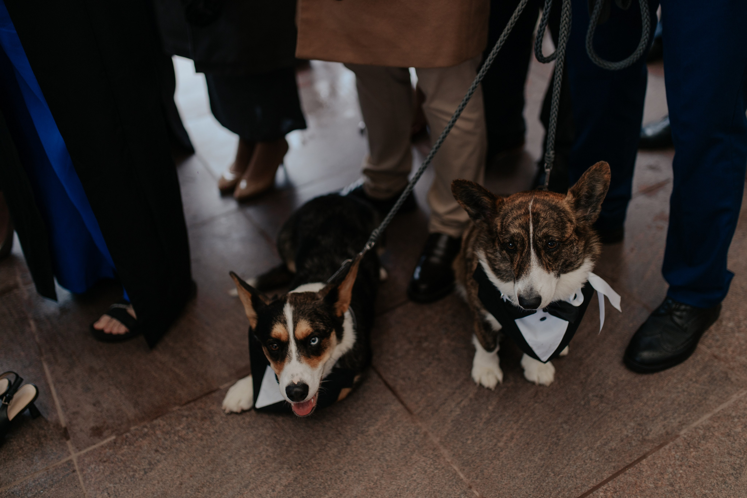 Ксения & Алексей. Фотограф в Санкт-Петербурге Лиза Семченкова