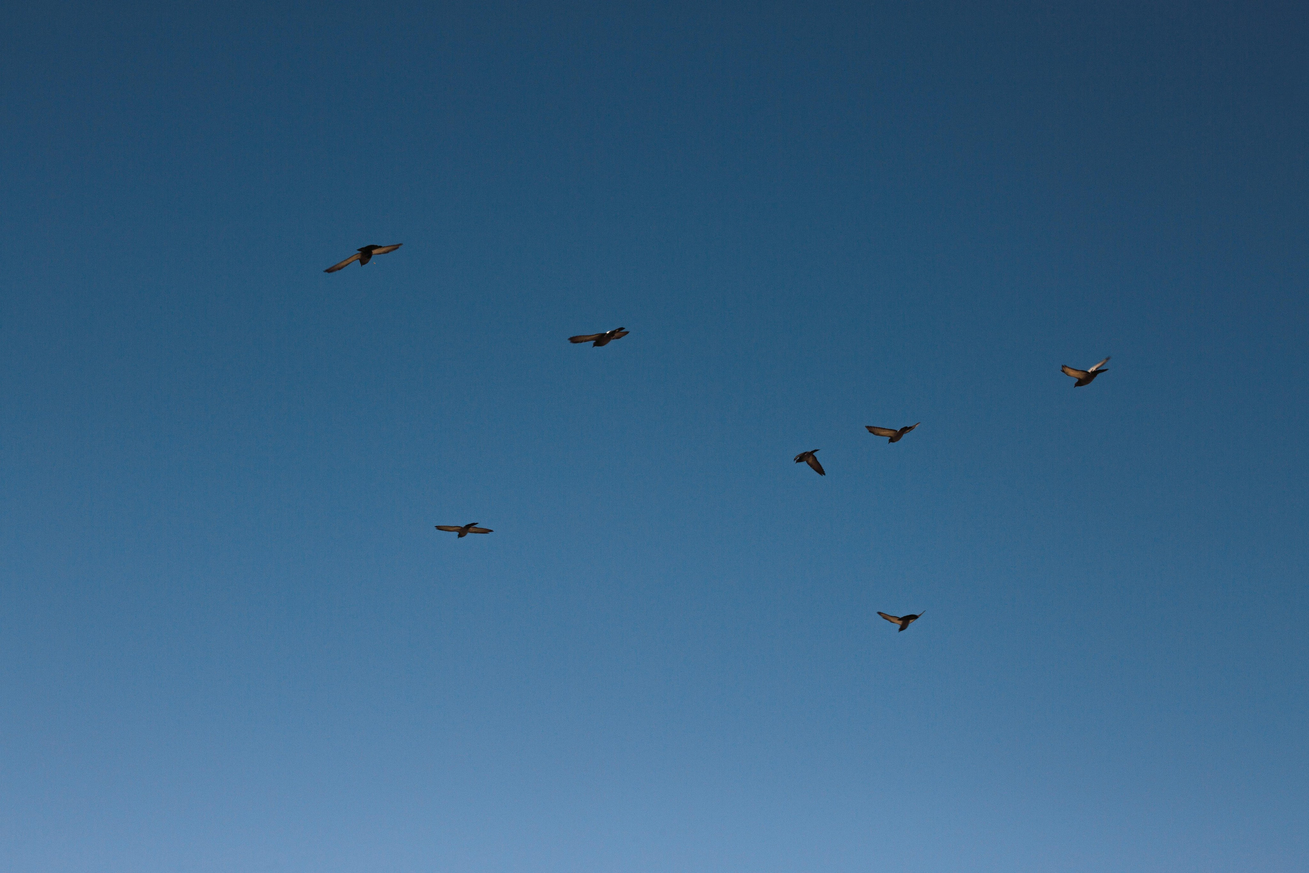 История одного путешествия. Семен Соколов