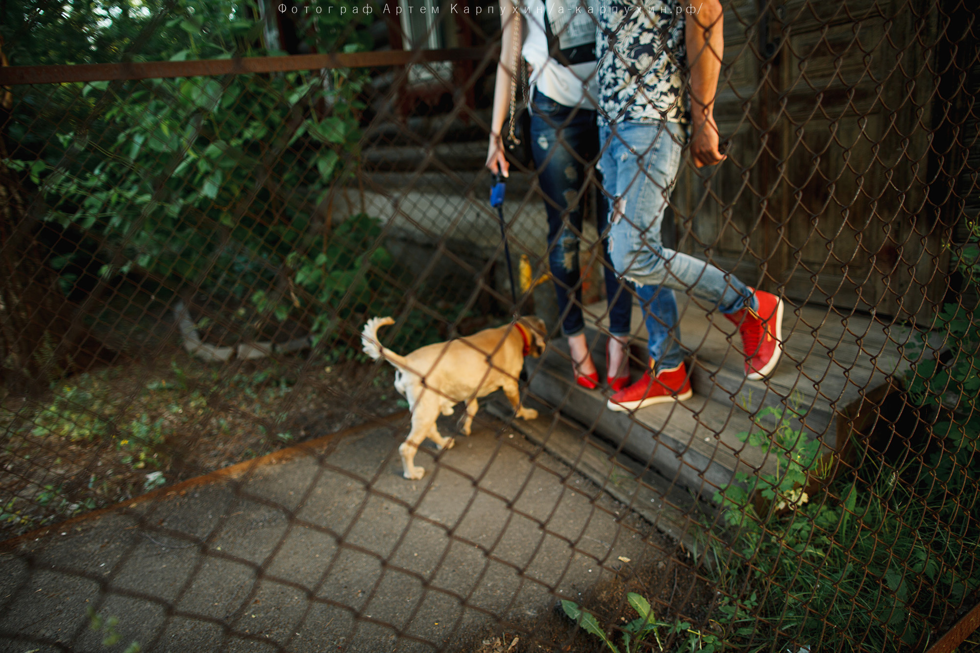 Город, собака, любовь. Прогулка Димы, Кати и Гранта. Фотограф городских и семейных событий Артем Карпухин