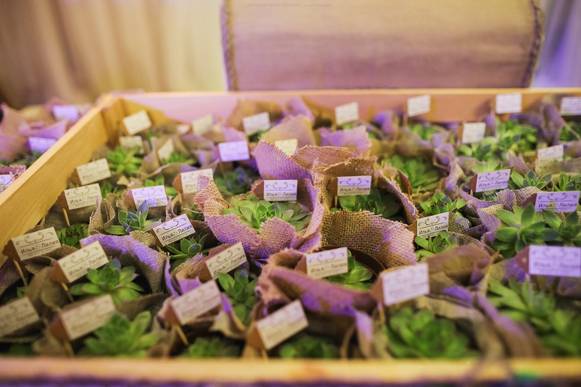 Илья и Лилия 2016. Фотограф городских и семейных событий Артем Карпухин