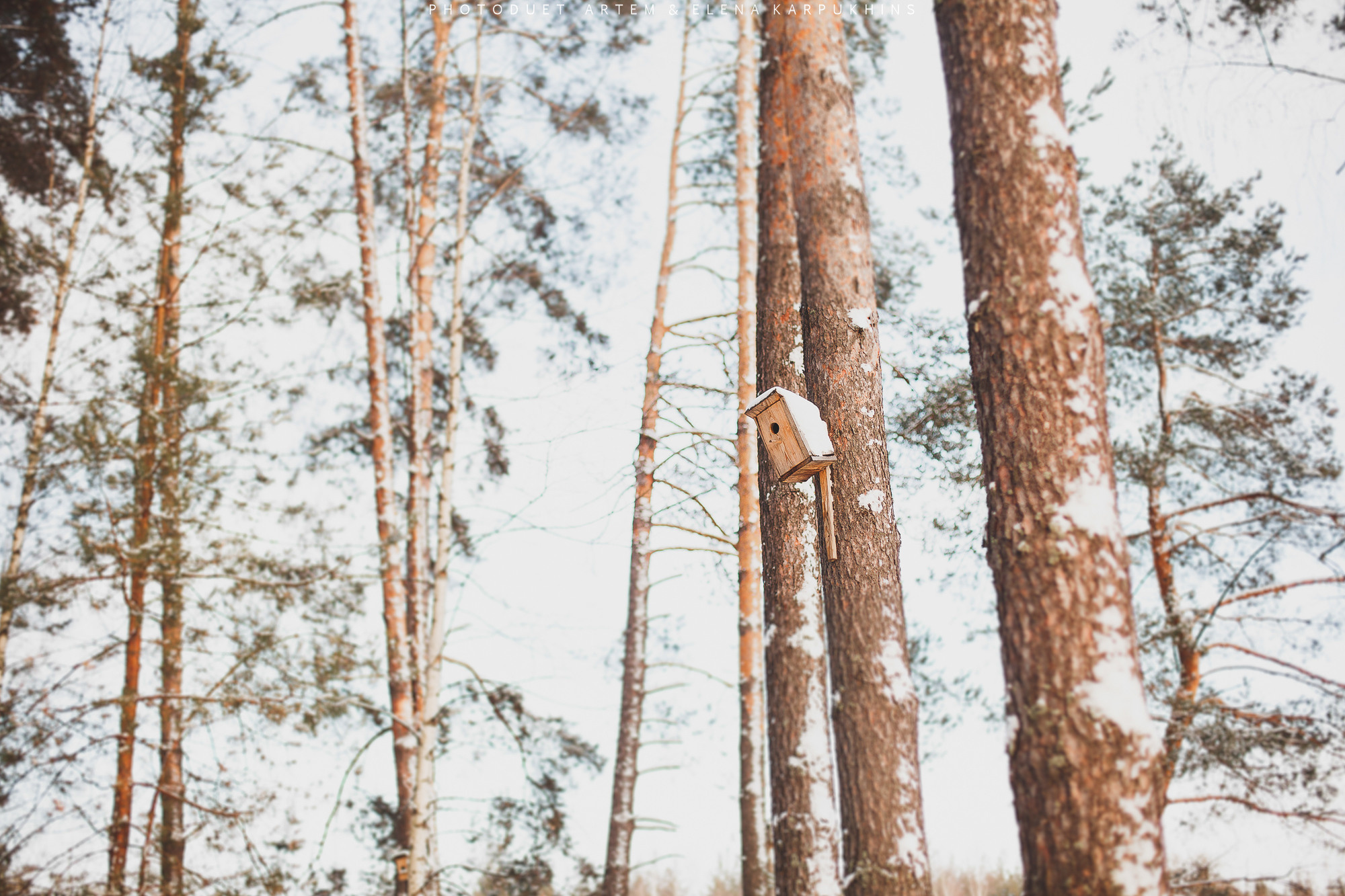 Саша и Катерина. Фотограф городских и семейных событий Артем Карпухин