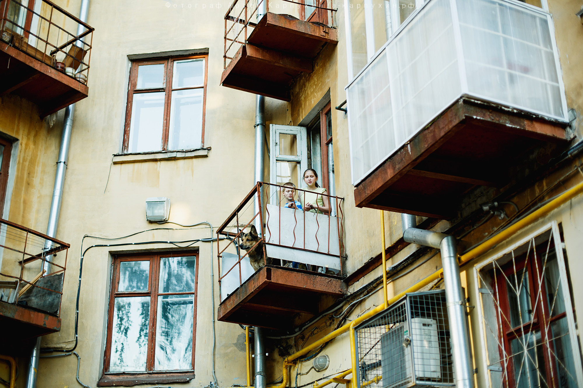 Город, собака, любовь. Прогулка Димы, Кати и Гранта. Фотограф городских и семейных событий Артем Карпухин