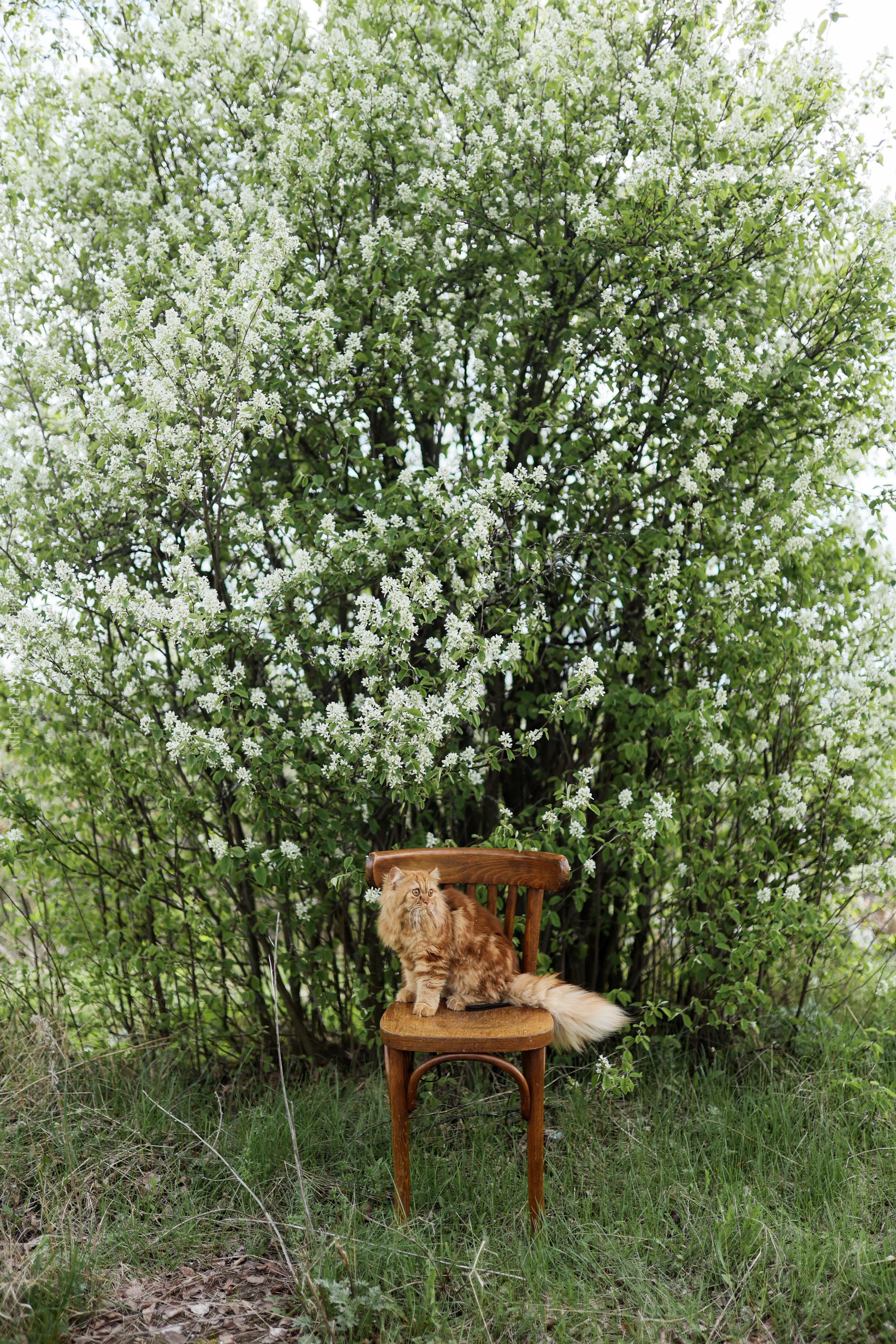 Плюша. Фотограф городских и семейных событий Артем Карпухин