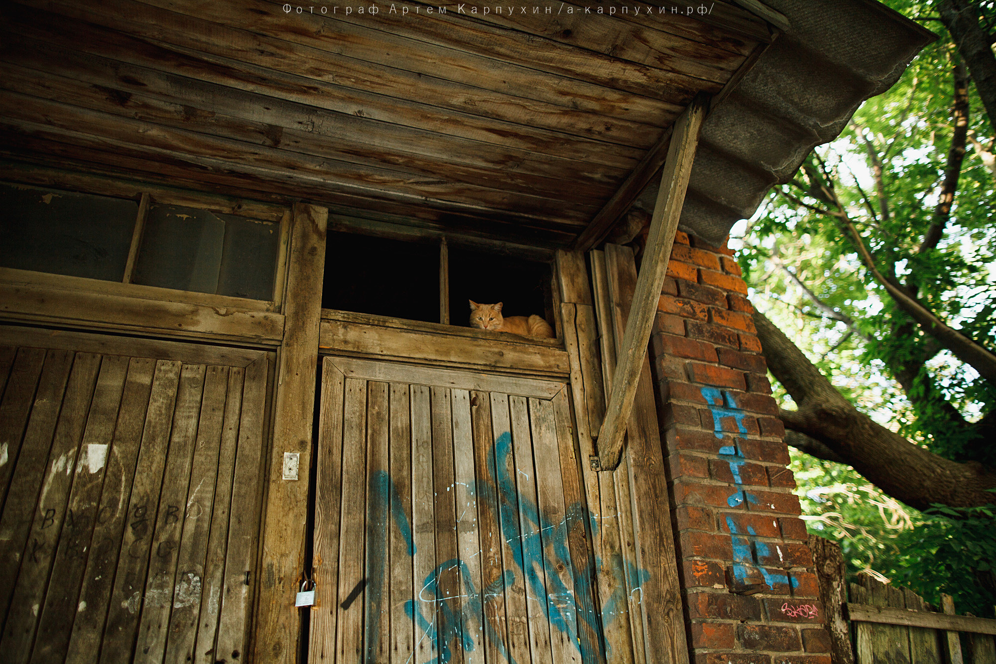 Город, собака, любовь. Прогулка Димы, Кати и Гранта. Фотограф городских и семейных событий Артем Карпухин