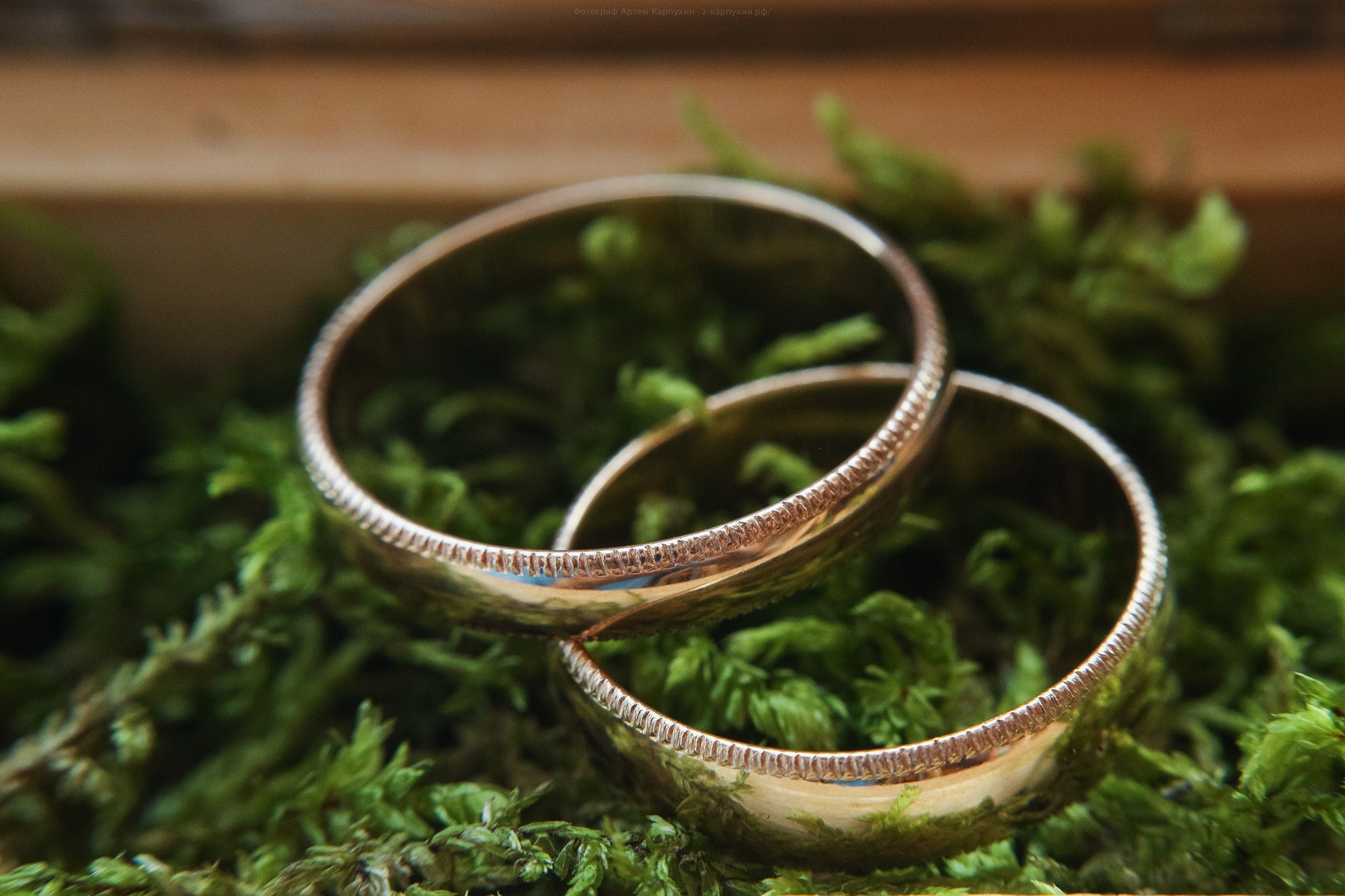 Илья и Лилия 2016. Фотограф городских и семейных событий Артем Карпухин