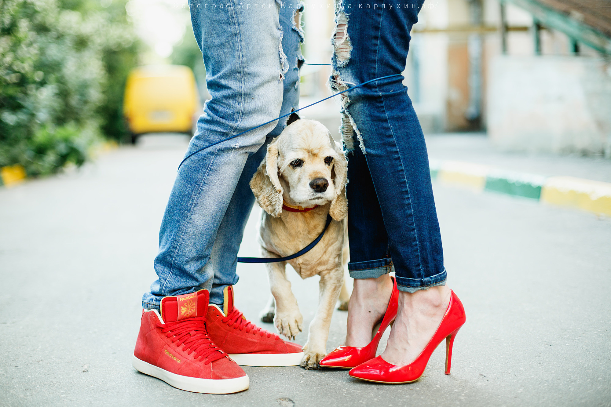 Город, собака, любовь. Прогулка Димы, Кати и Гранта. Фотограф городских и семейных событий Артем Карпухин