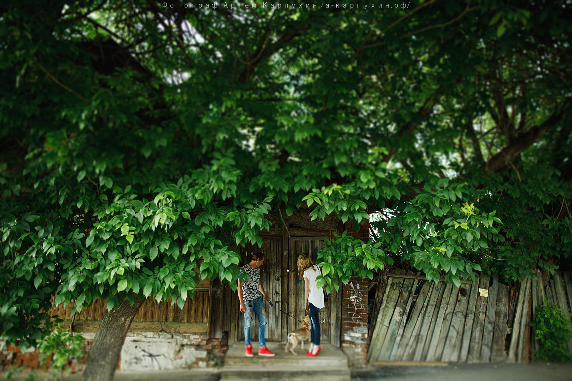 Город, собака, любовь. Прогулка Димы, Кати и Гранта. Фотограф городских и семейных событий Артем Карпухин