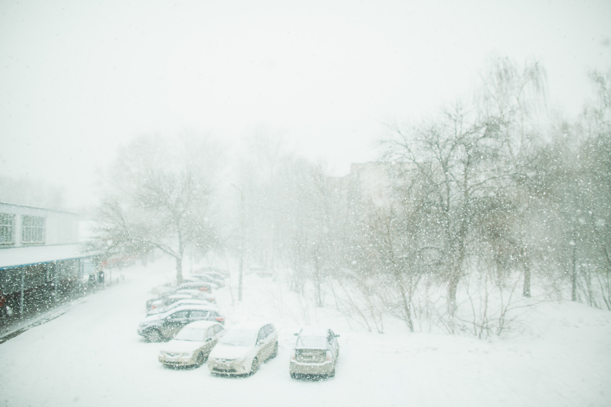 Катин торт. Катя и Лёша 2016. Беременная домашняя съемка. Фотограф городских и семейных событий Артем Карпухин