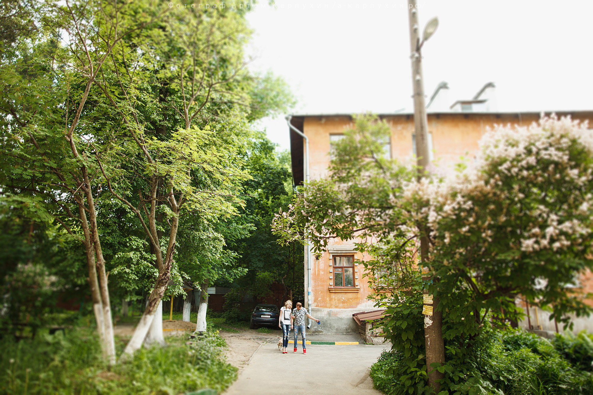 Город, собака, любовь. Прогулка Димы, Кати и Гранта. Фотограф городских и семейных событий Артем Карпухин