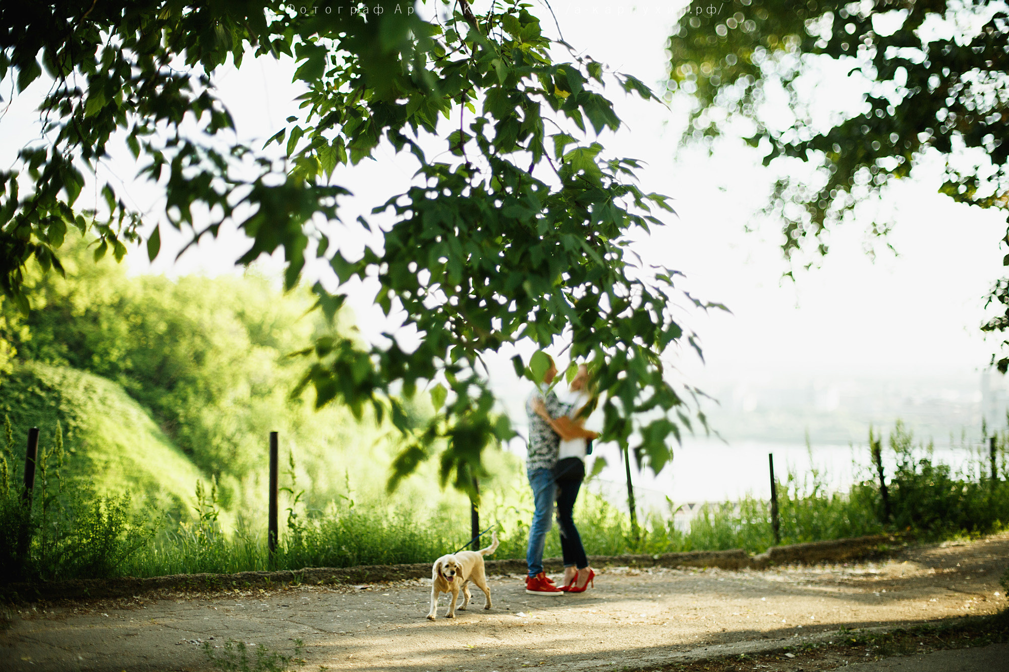 Город, собака, любовь. Прогулка Димы, Кати и Гранта. Фотограф городских и семейных событий Артем Карпухин