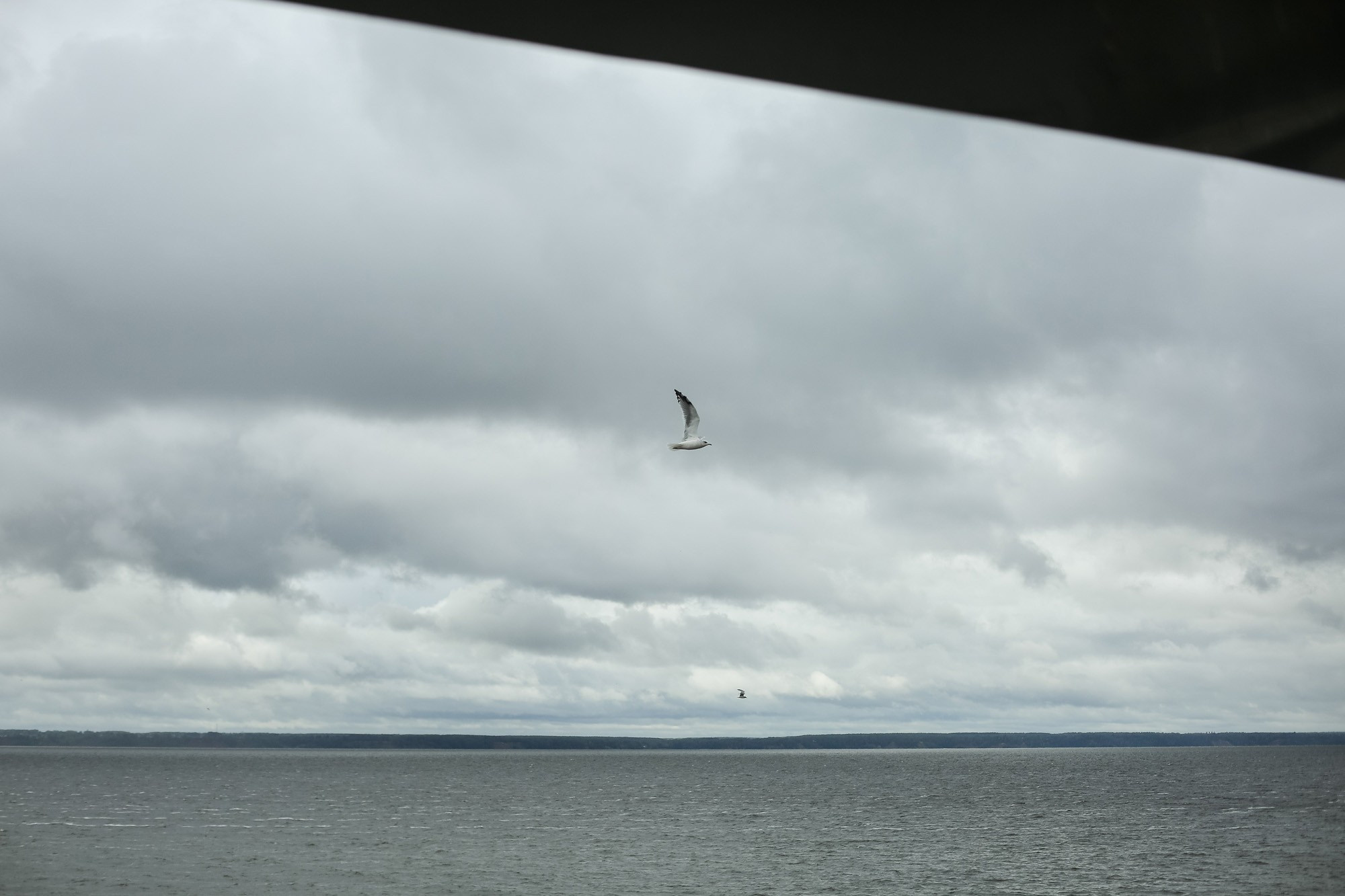 Влад и Лера сентябрь 2016. Фотограф городских и семейных событий Артем Карпухин