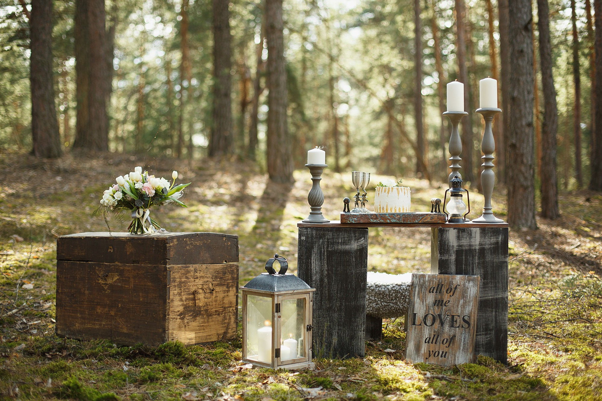 Предсвадебная Даши и Сергея. Весна 2016. Фотограф городских и семейных событий Артем Карпухин