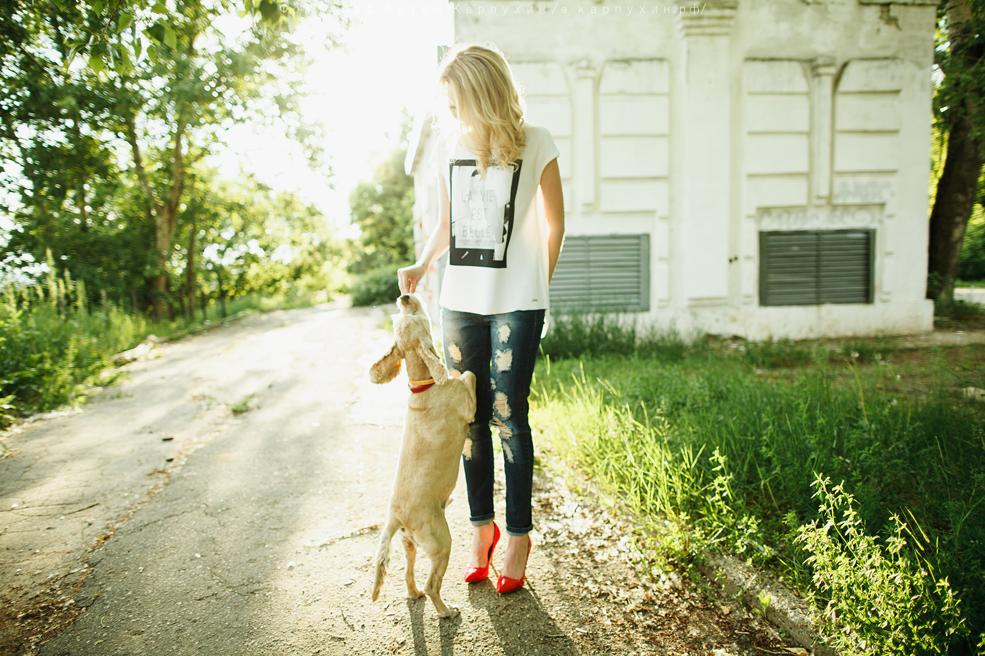Город, собака, любовь. Прогулка Димы, Кати и Гранта. Фотограф городских и семейных событий Артем Карпухин