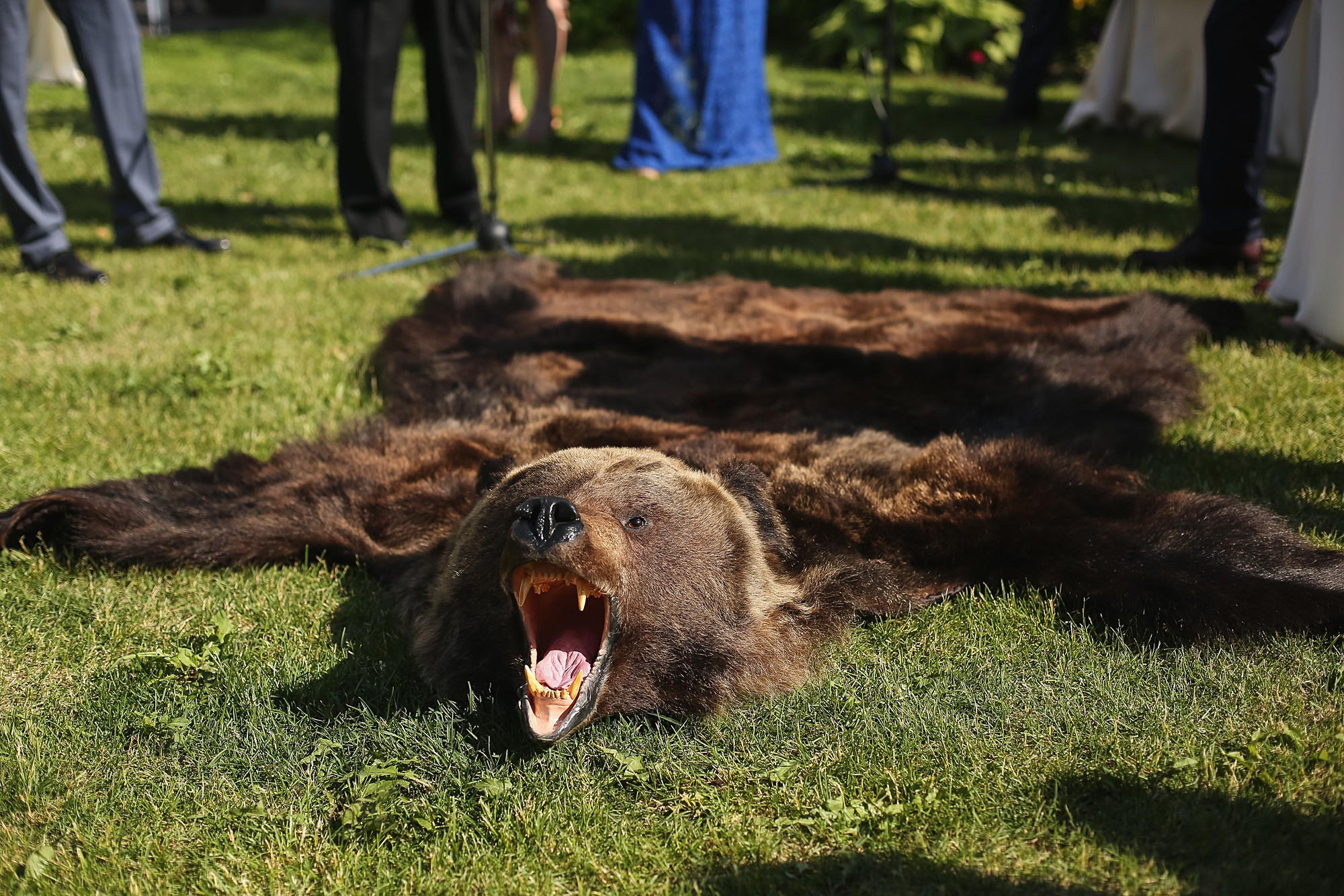 Русско-французская свадьба Анастасии и Фуко июнь 2016. Фотограф городских и семейных событий Артем Карпухин