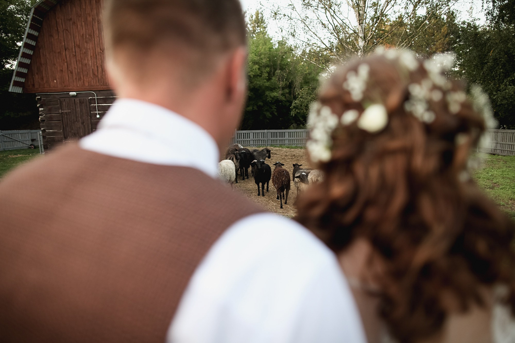 Саша и Галя. Свадьба на ферме. Фотограф городских и семейных событий Артем Карпухин
