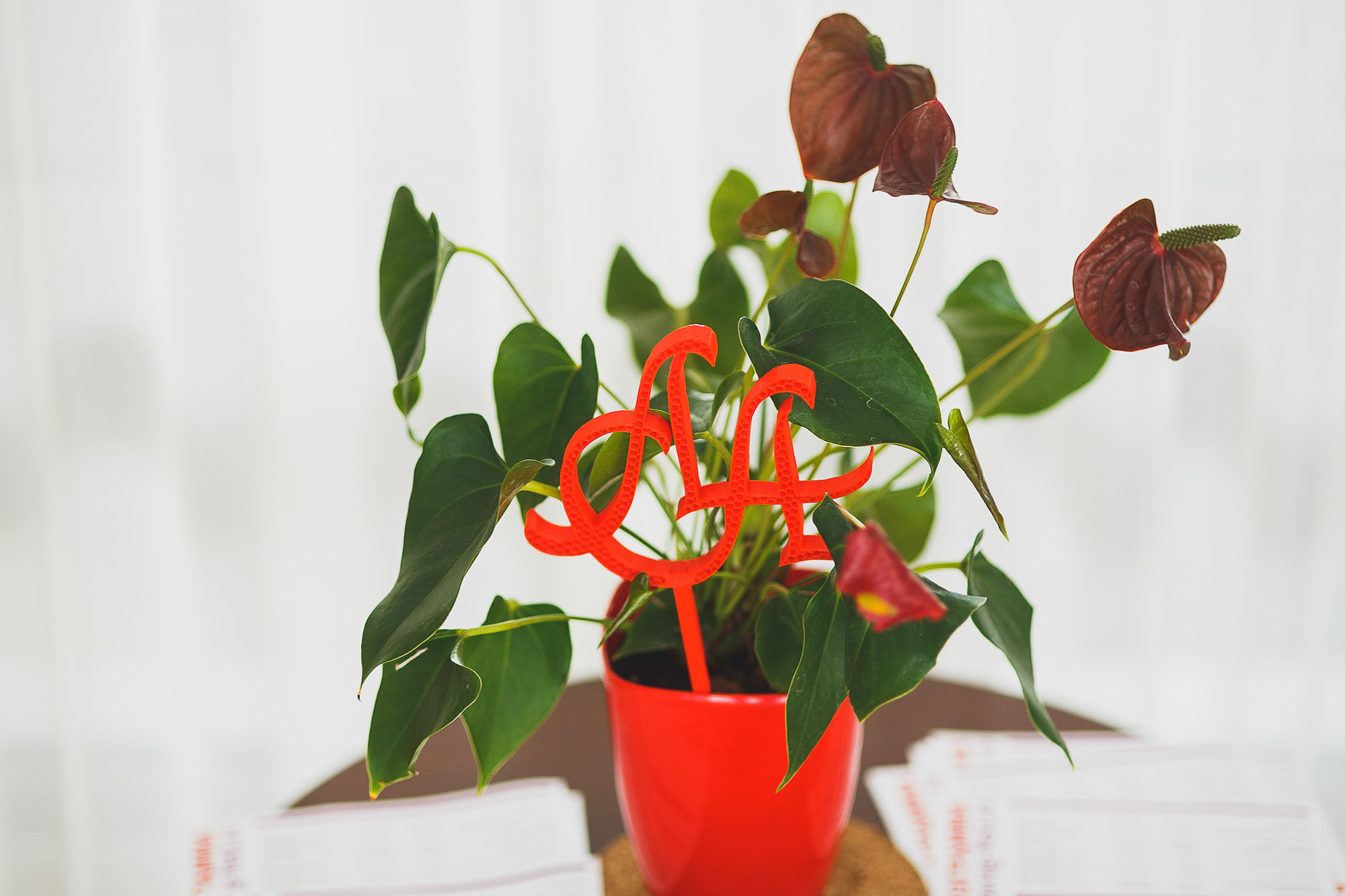 Антон и Аня. Фотограф городских и семейных событий Артем Карпухин