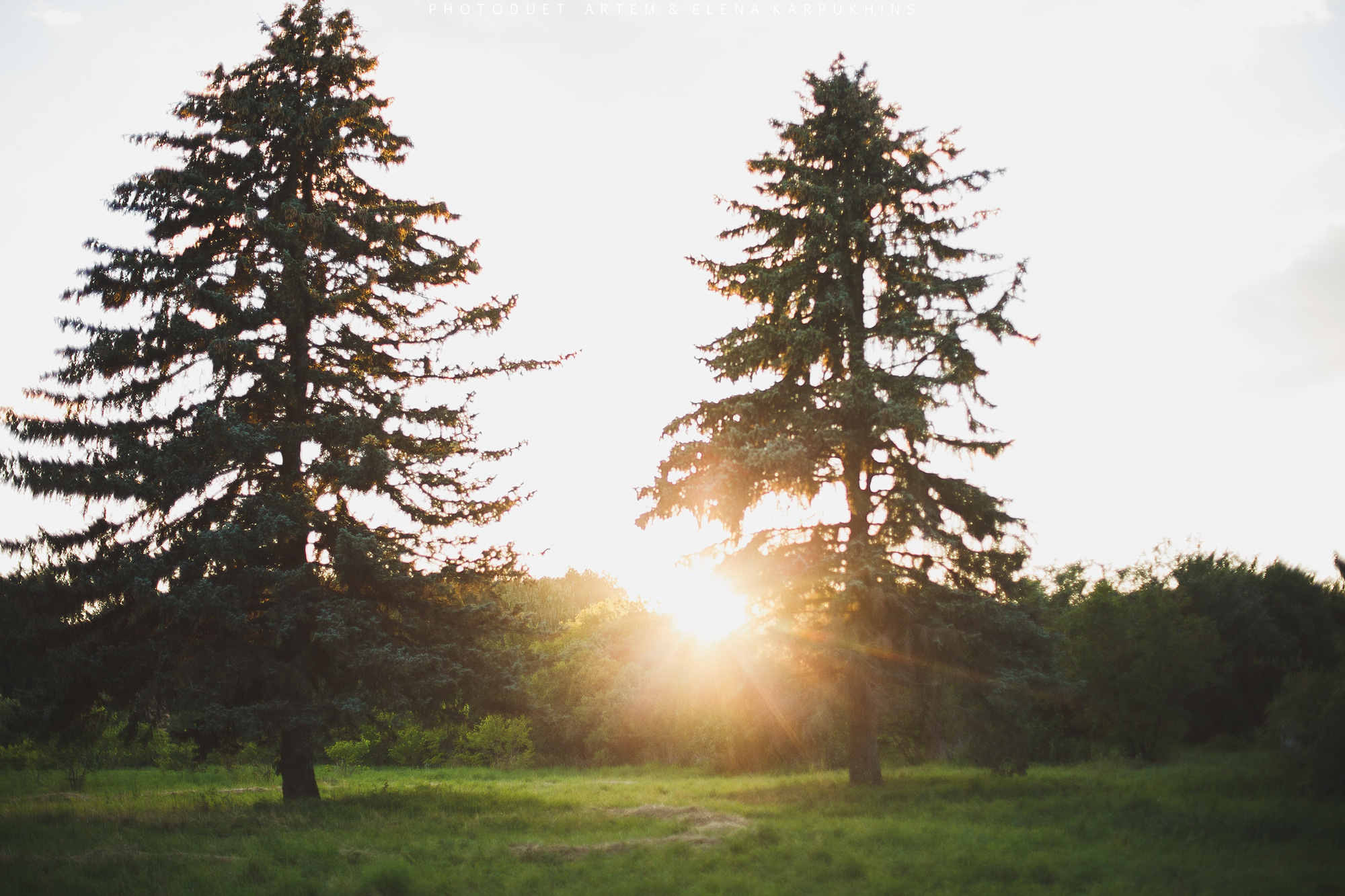 Дима и Даша. Фотограф городских и семейных событий Артем Карпухин