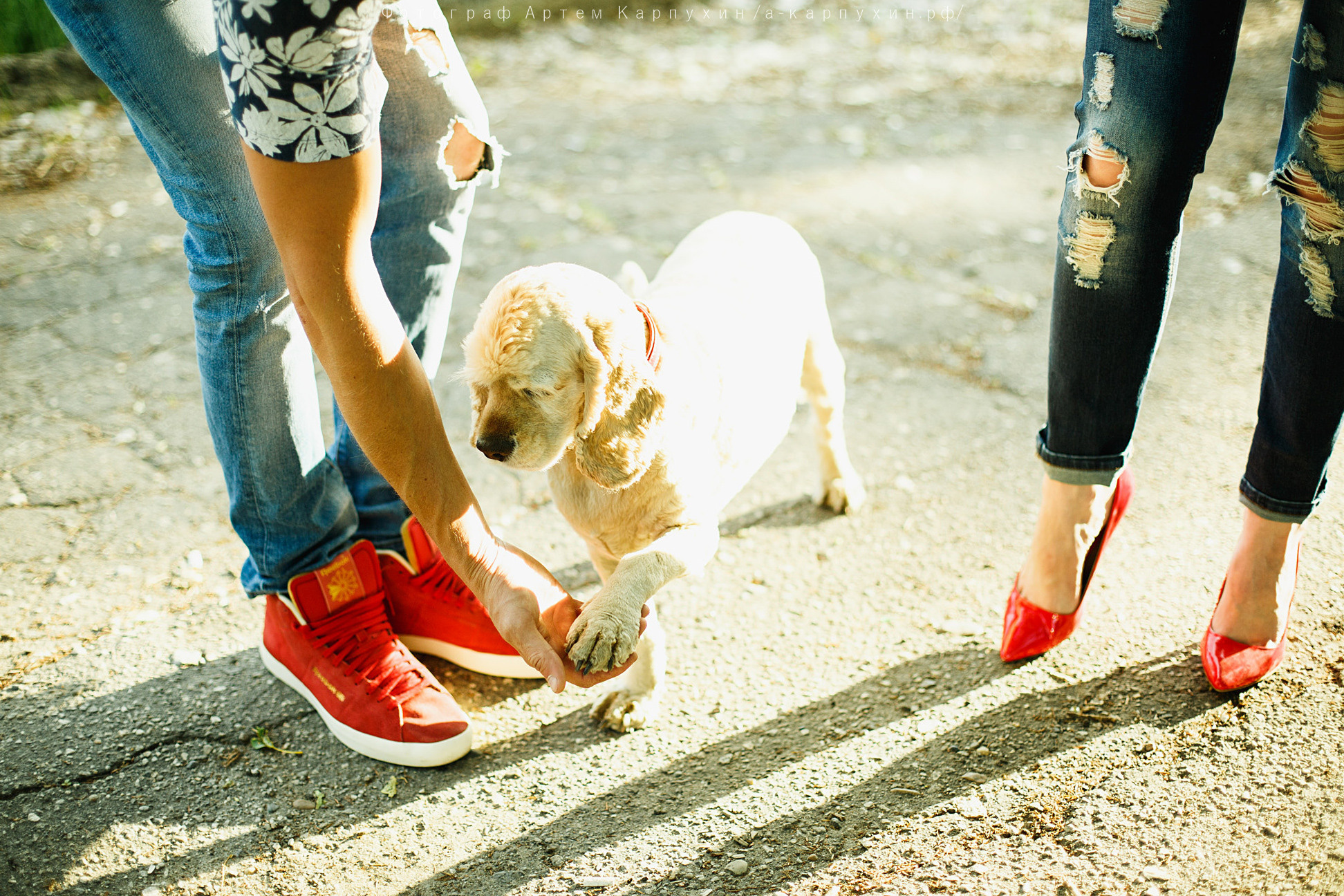 Город, собака, любовь. Прогулка Димы, Кати и Гранта. Фотограф городских и семейных событий Артем Карпухин