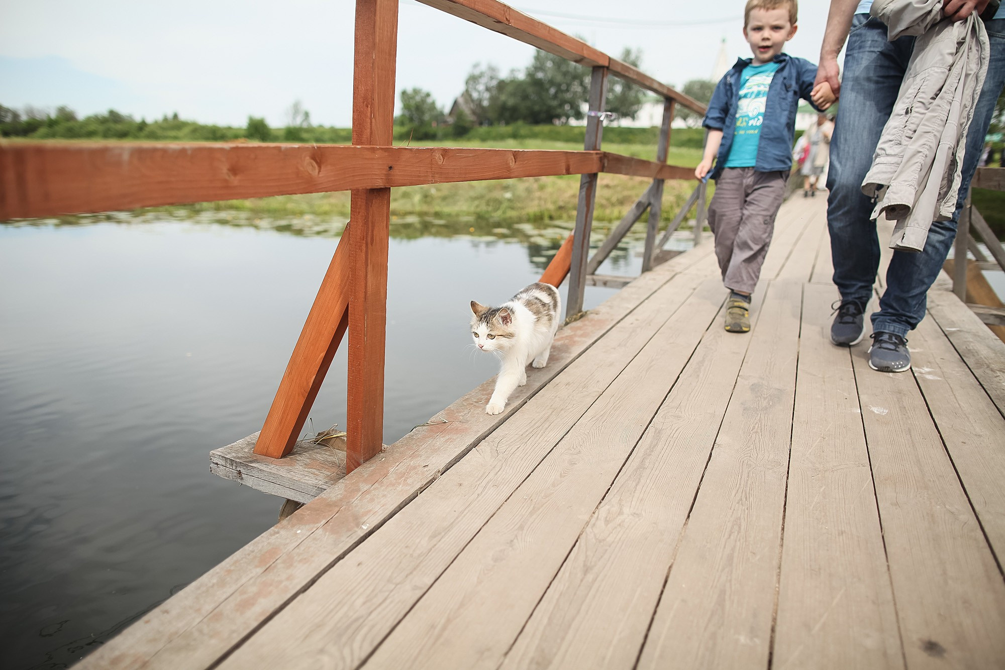 Русско-французская свадьба Анастасии и Фуко июнь 2016. Фотограф городских и семейных событий Артем Карпухин