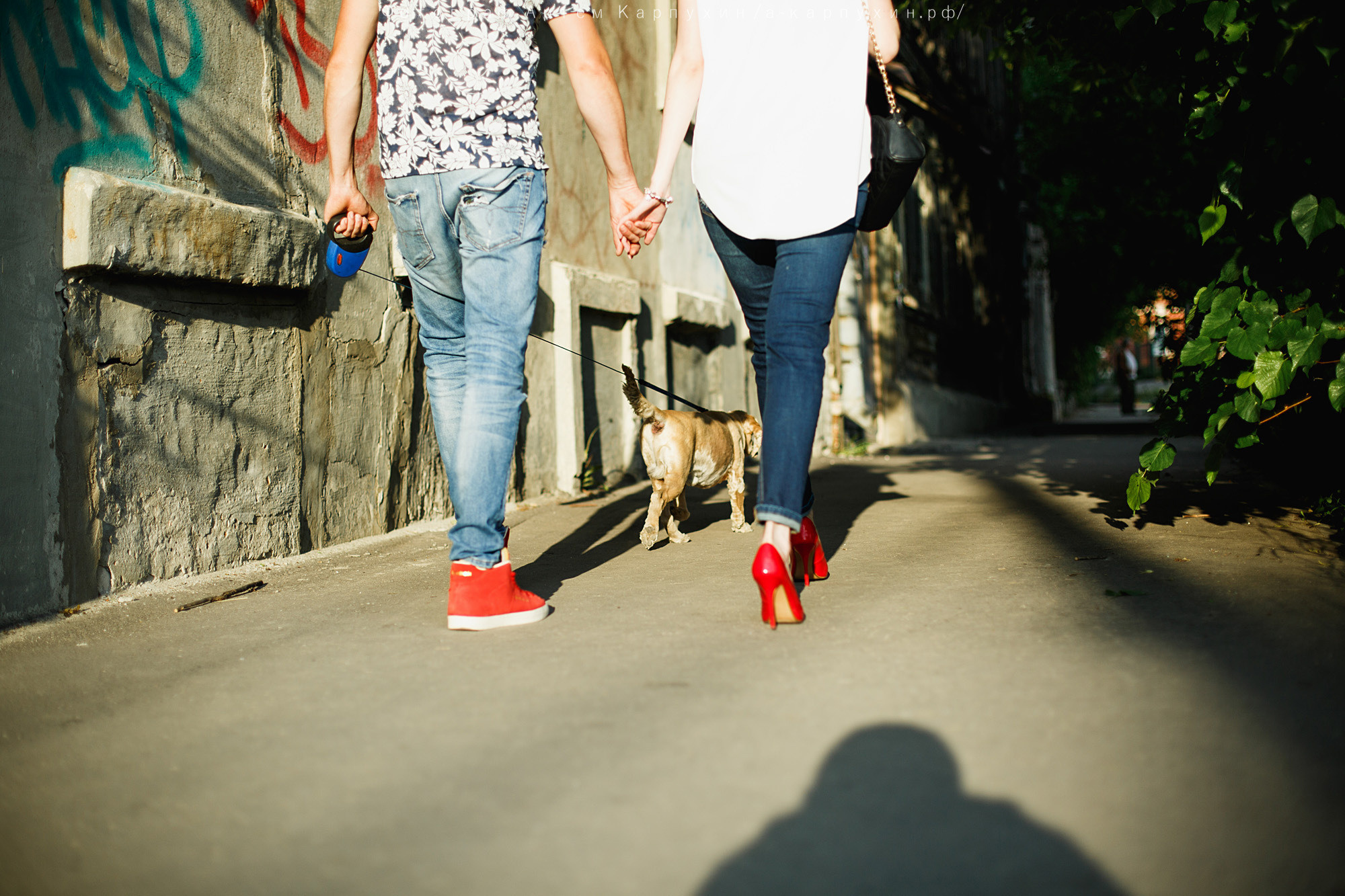 Город, собака, любовь. Прогулка Димы, Кати и Гранта. Фотограф городских и семейных событий Артем Карпухин