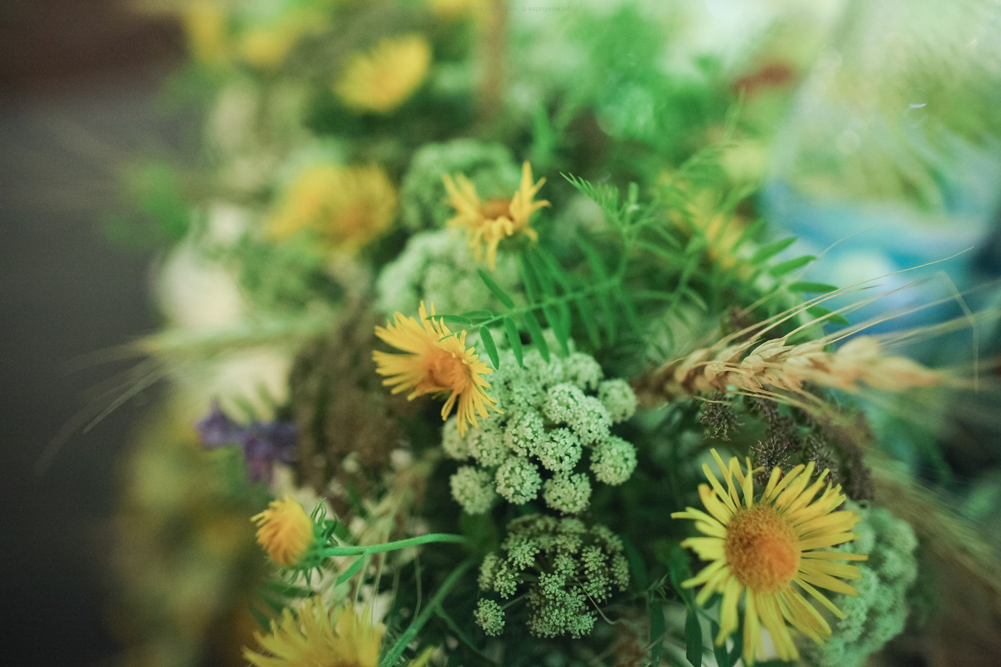 Илья и Лилия 2016. Фотограф городских и семейных событий Артем Карпухин