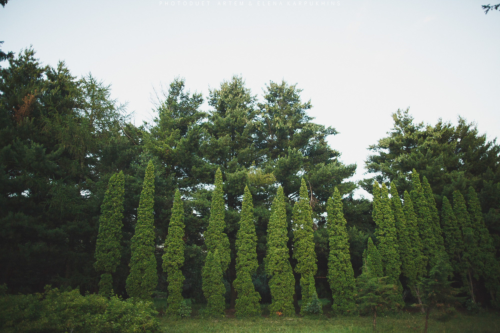 Дима и Даша. Фотограф городских и семейных событий Артем Карпухин