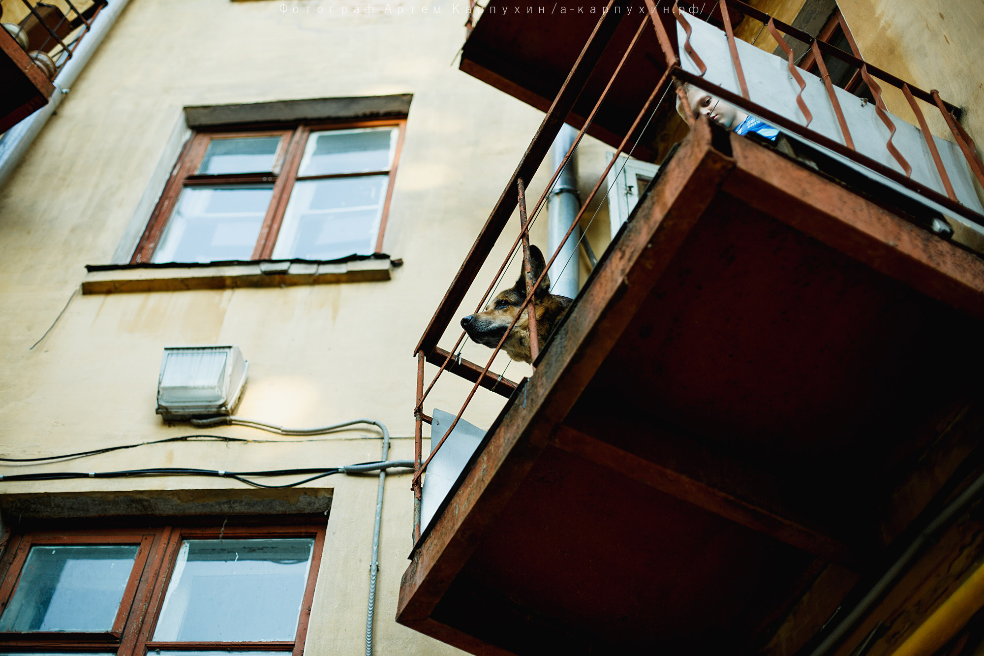 Город, собака, любовь. Прогулка Димы, Кати и Гранта. Фотограф городских и семейных событий Артем Карпухин