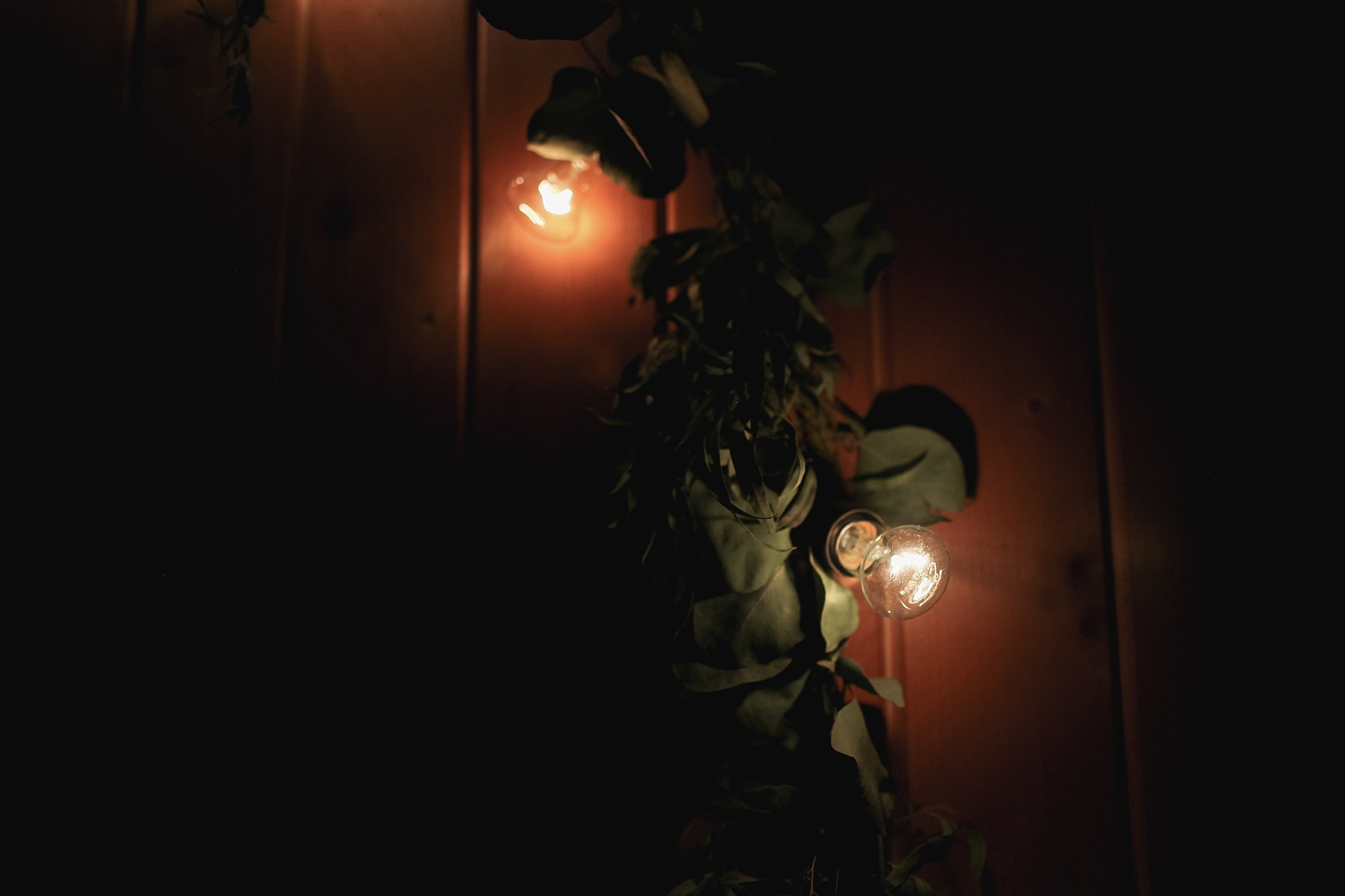 Саша и Галя. Свадьба на ферме. Фотограф городских и семейных событий Артем Карпухин