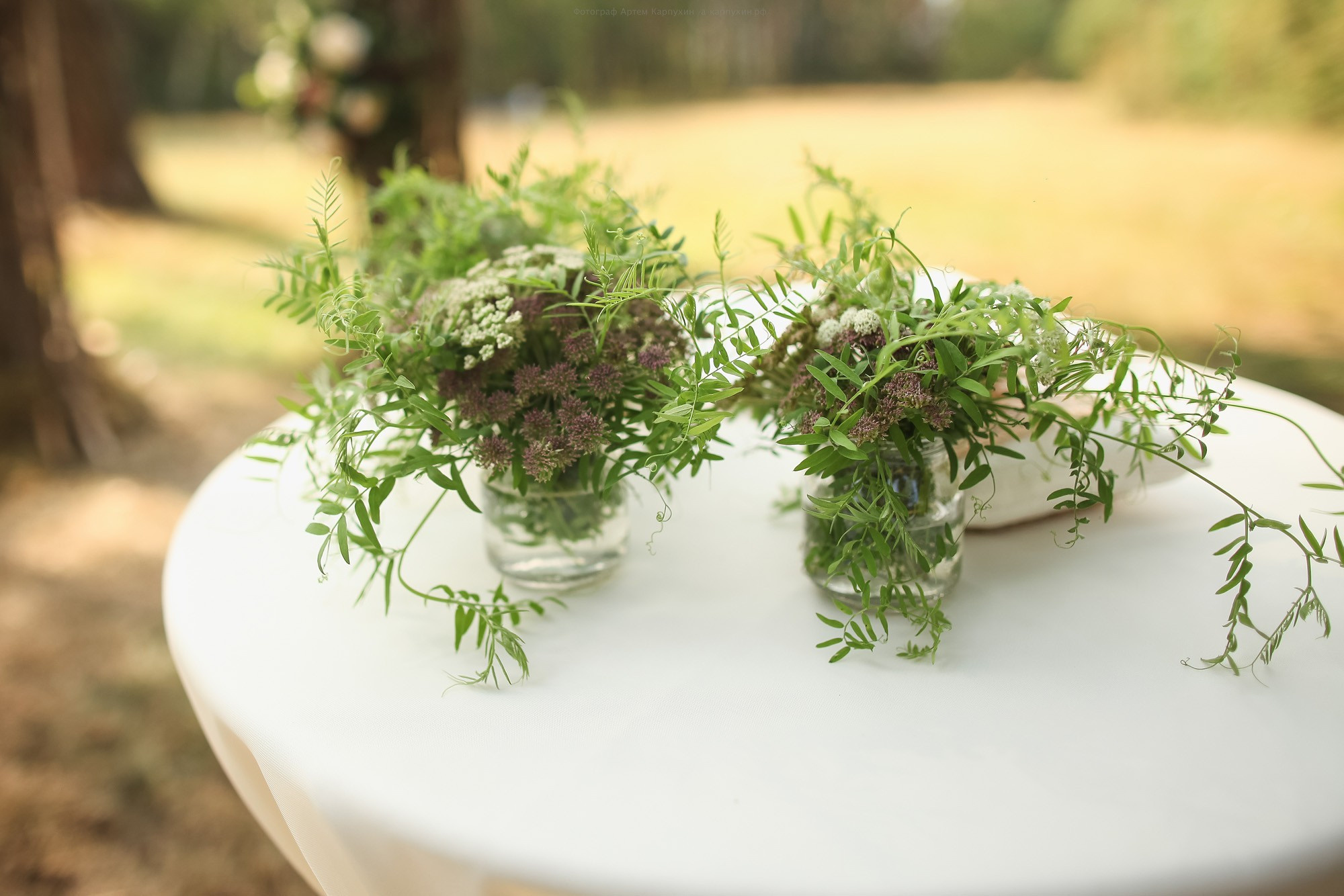 Илья и Лилия 2016. Фотограф городских и семейных событий Артем Карпухин