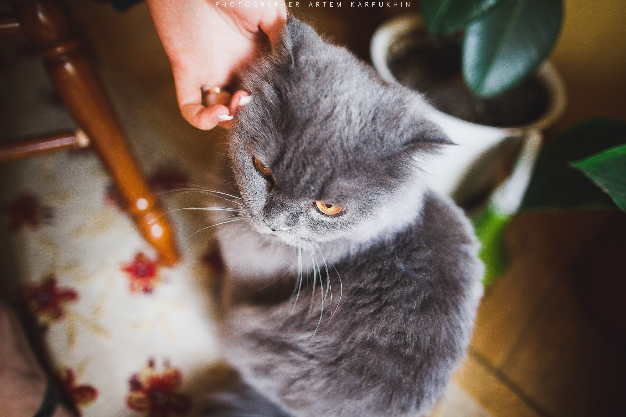 Антон и Аня. Фотограф городских и семейных событий Артем Карпухин