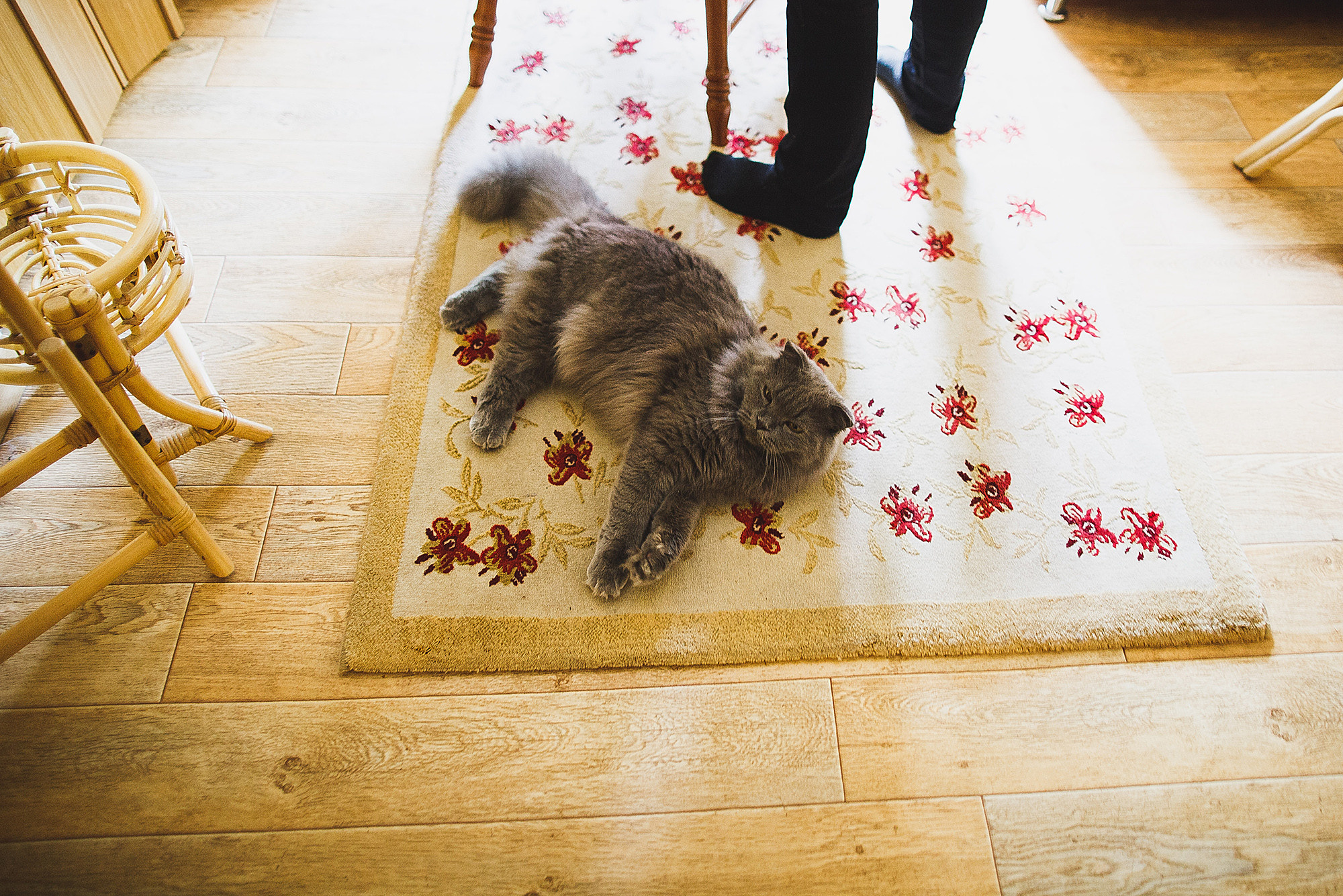 Антон и Аня. Фотограф городских и семейных событий Артем Карпухин