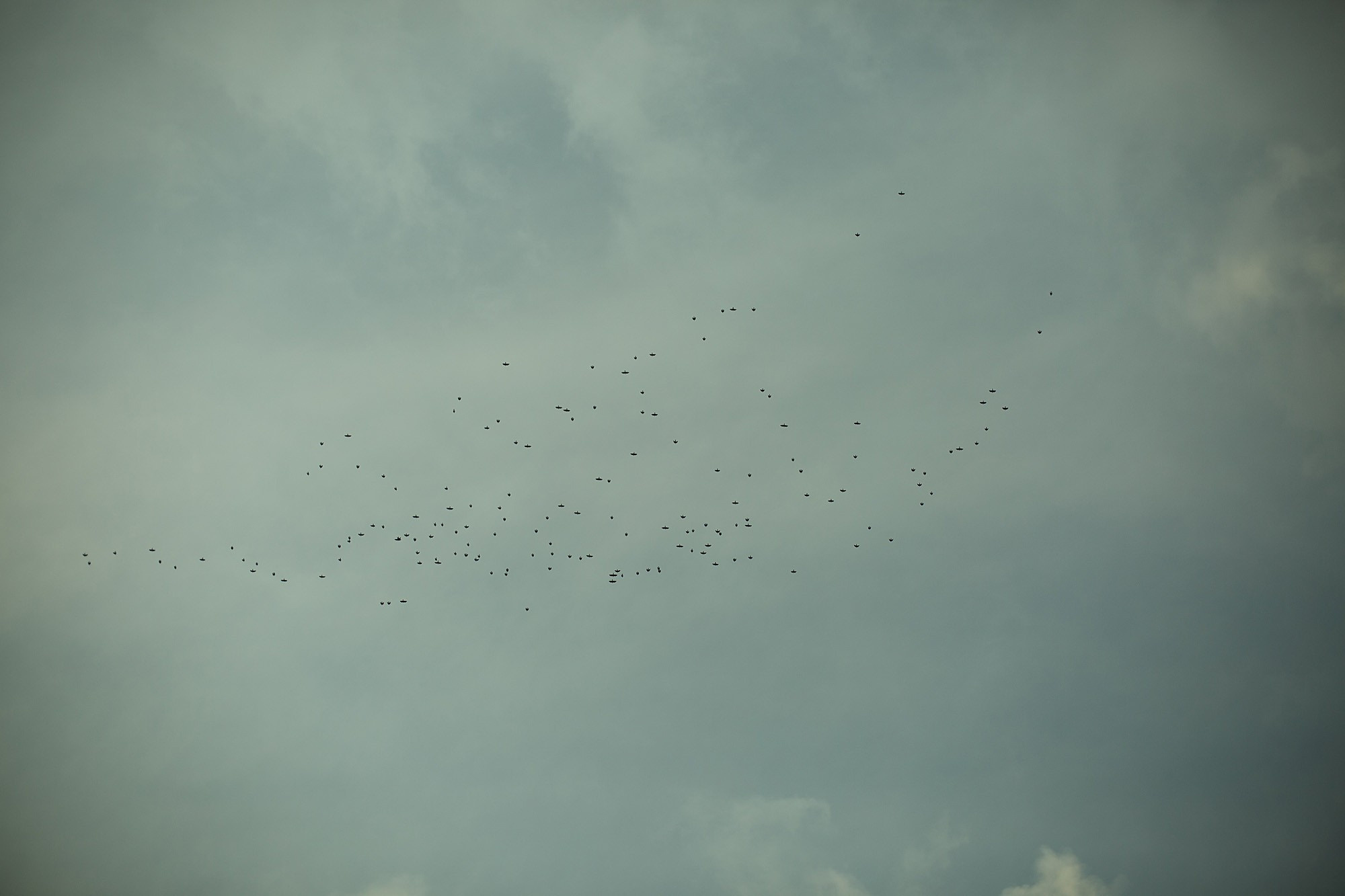 Ты ветер в моих волосах, ты солнце на коже моей.... Фотограф городских и семейных событий Артем Карпухин