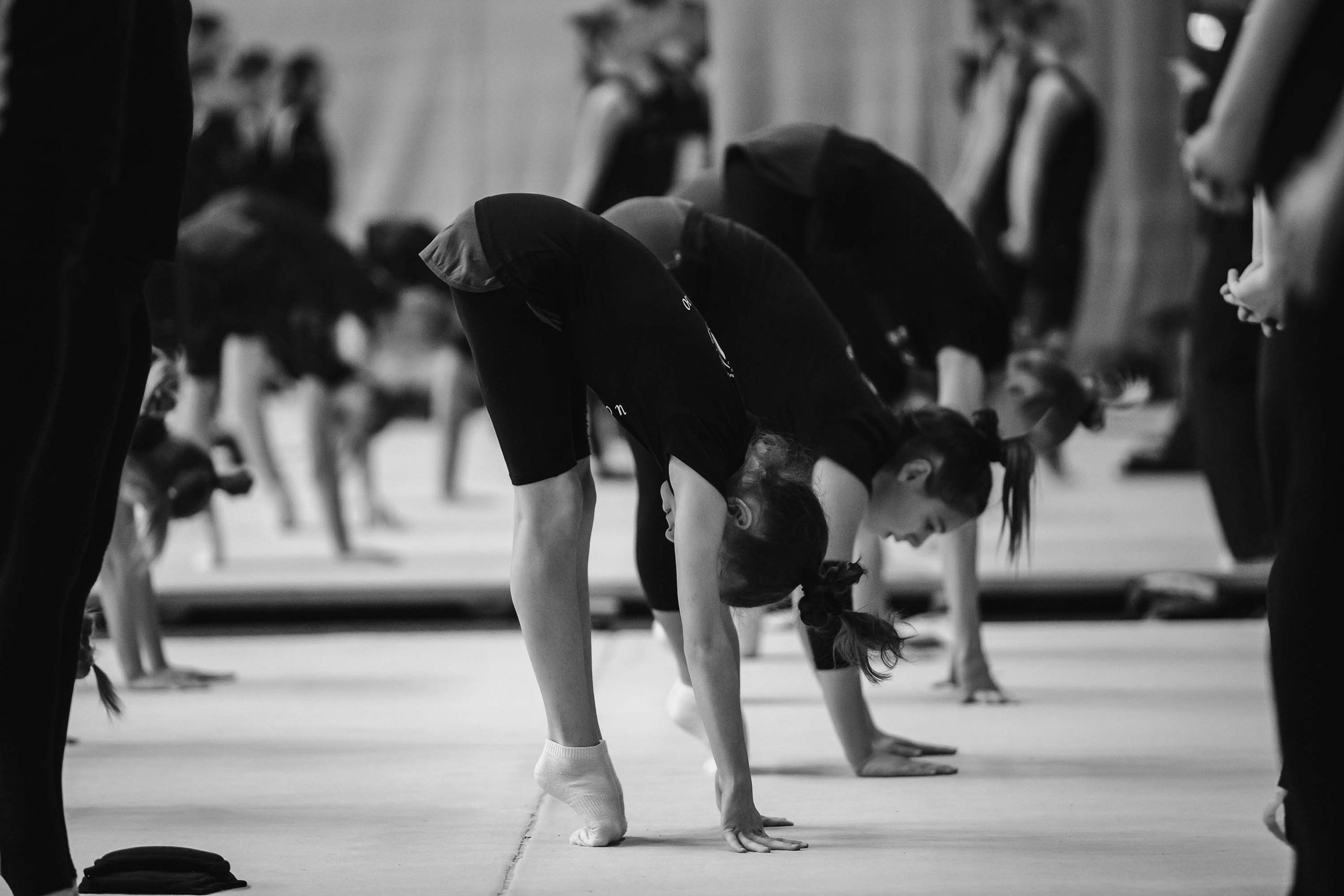 Кубок России по эстетической гимнастике. Спортивный фотограф Александр Васильев. RG и AGG