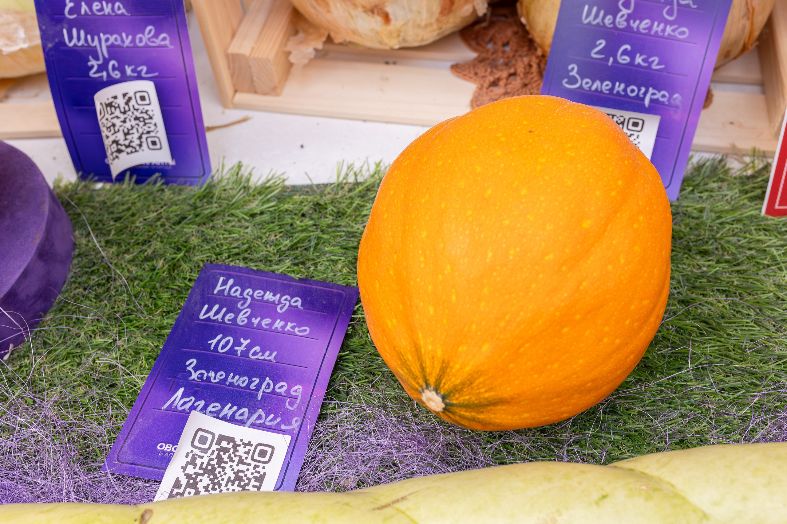 Овощи-гиганты. Александра Куликова фотограф, Москва