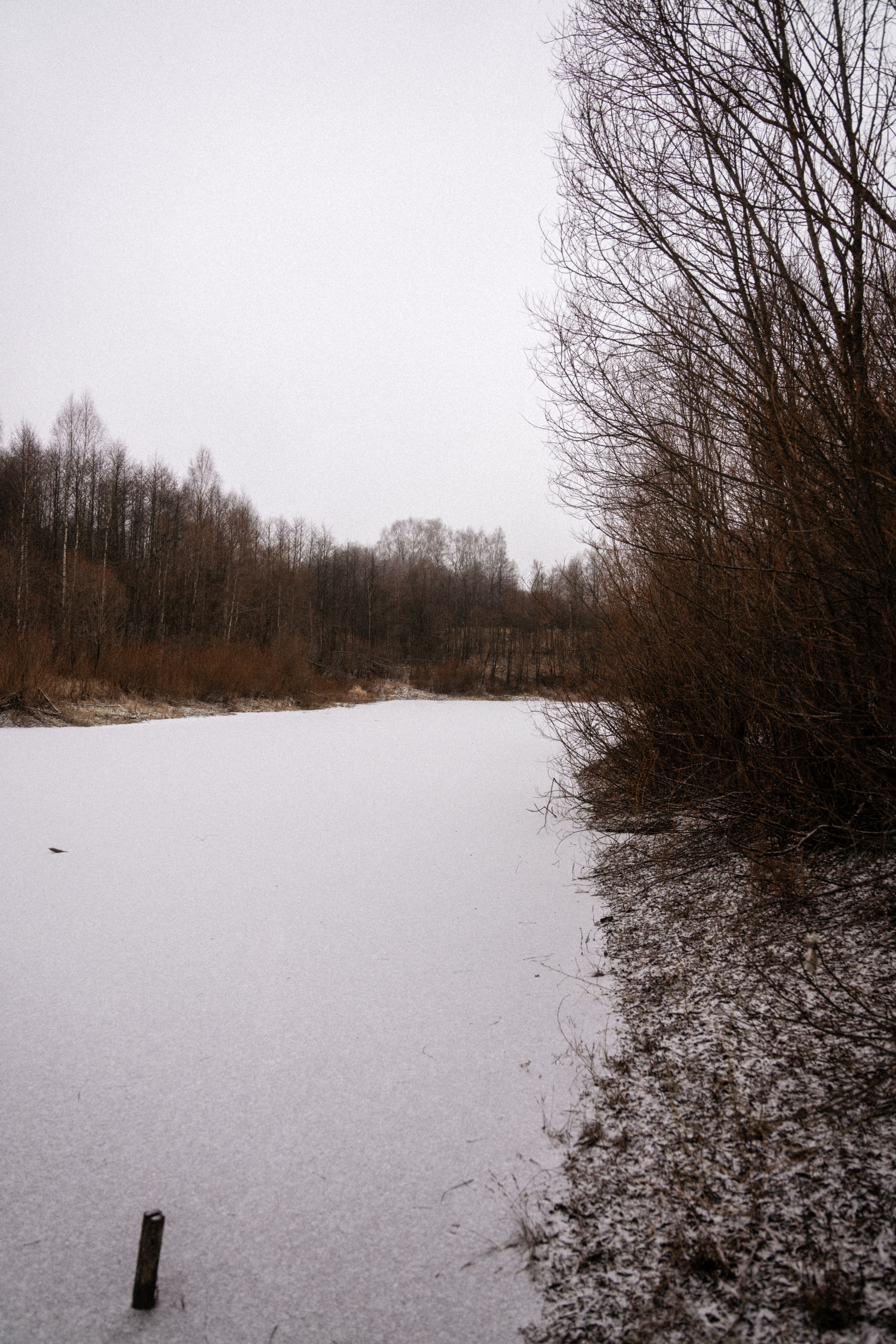 Прогулка по оврагу близ реки. Vlad Trykov