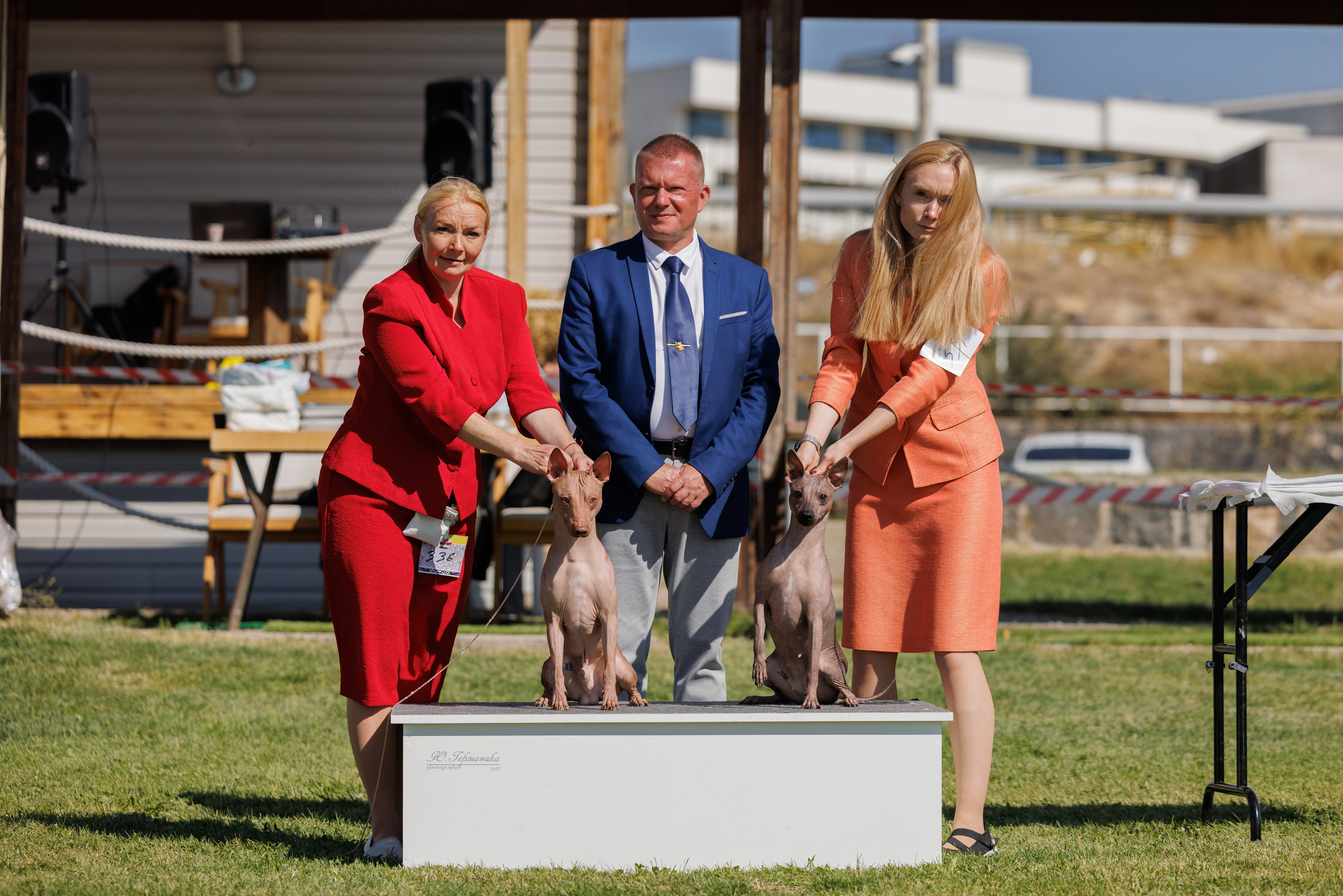 Ереван 14-16.10.2025. Фотограф-анималист Юлия Германика