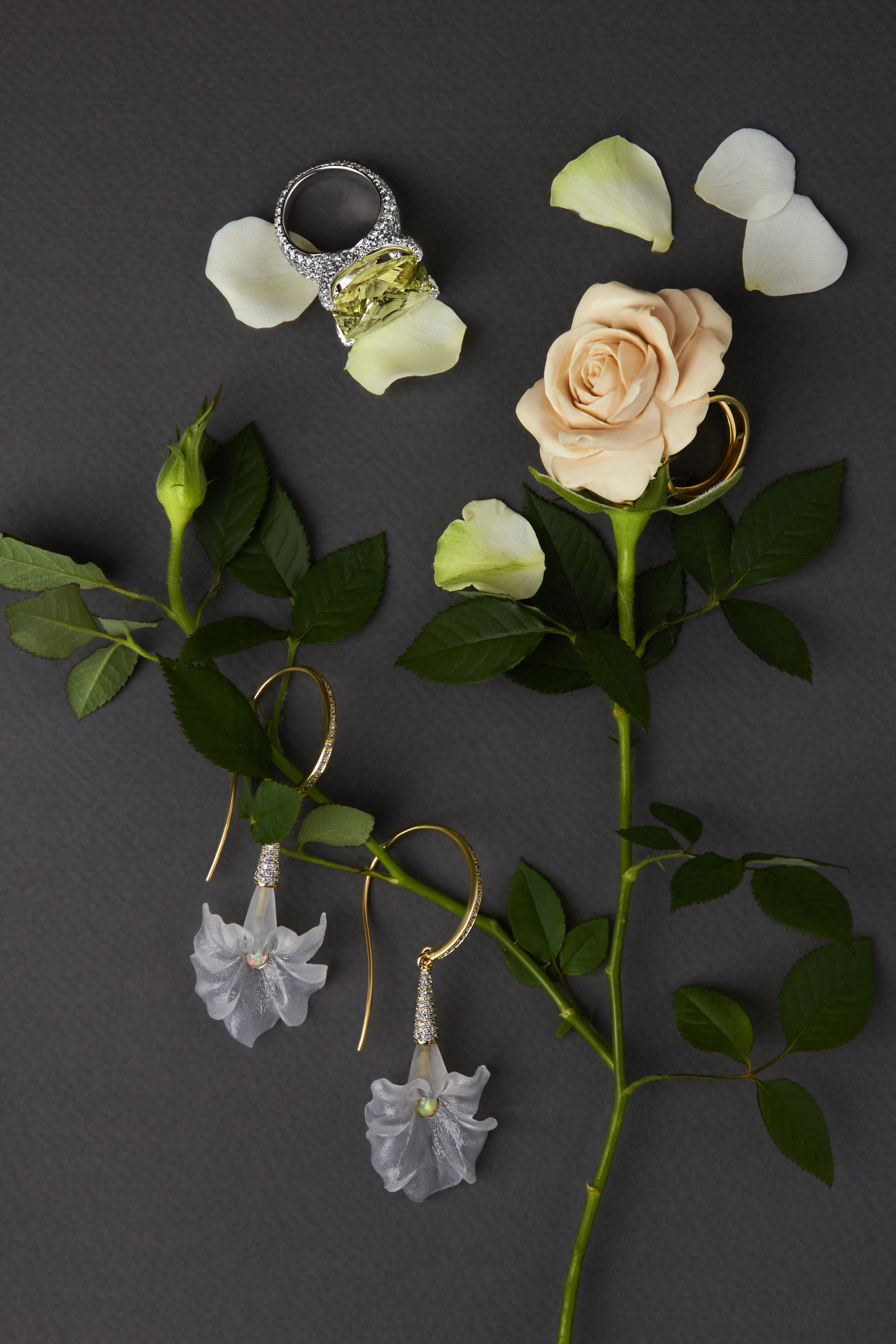 украшения фото природа