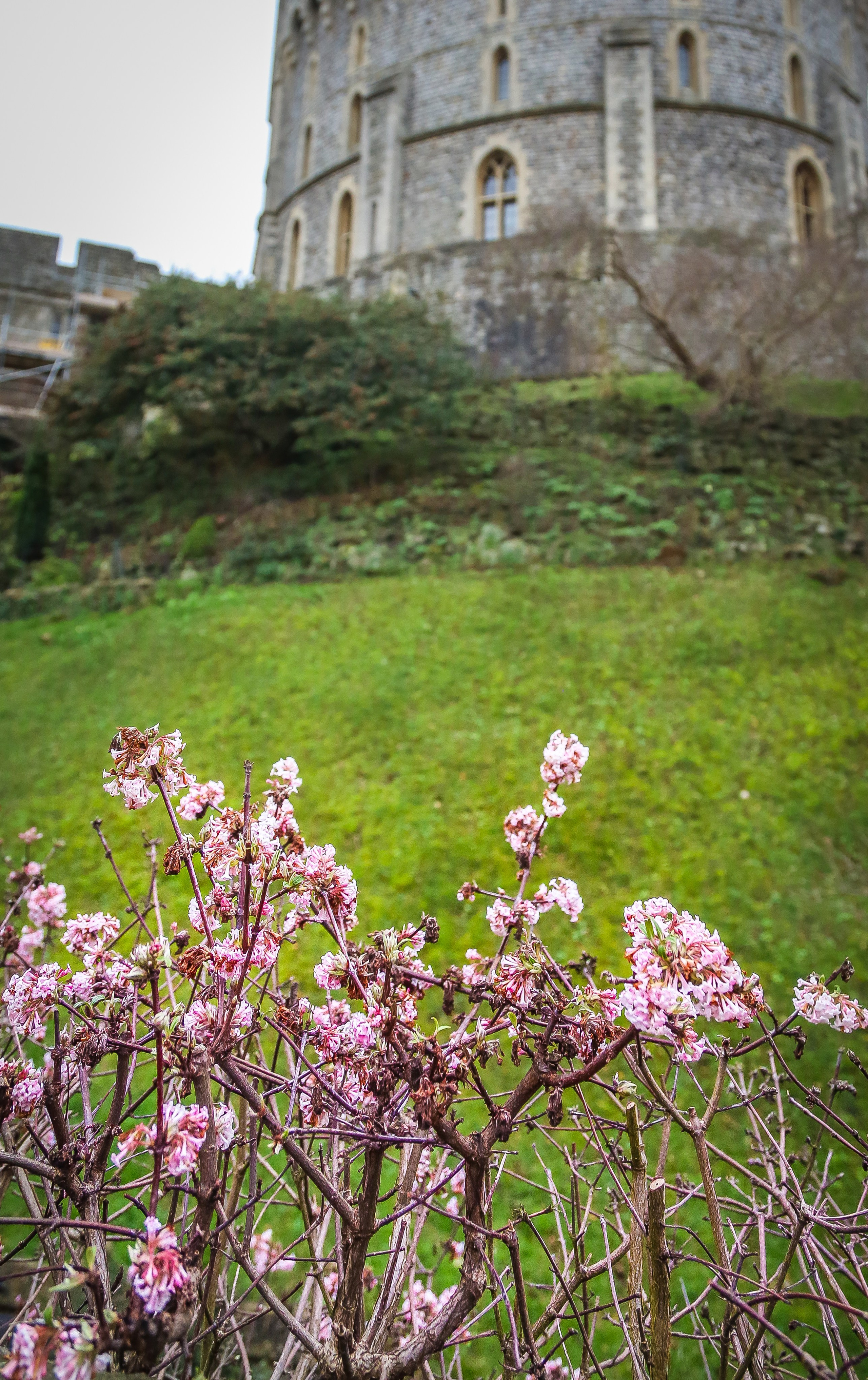 Англия: Пролог. Дарья Письменюк / Darya Leitstern — фотограф, музыкант, журналист, путешественник