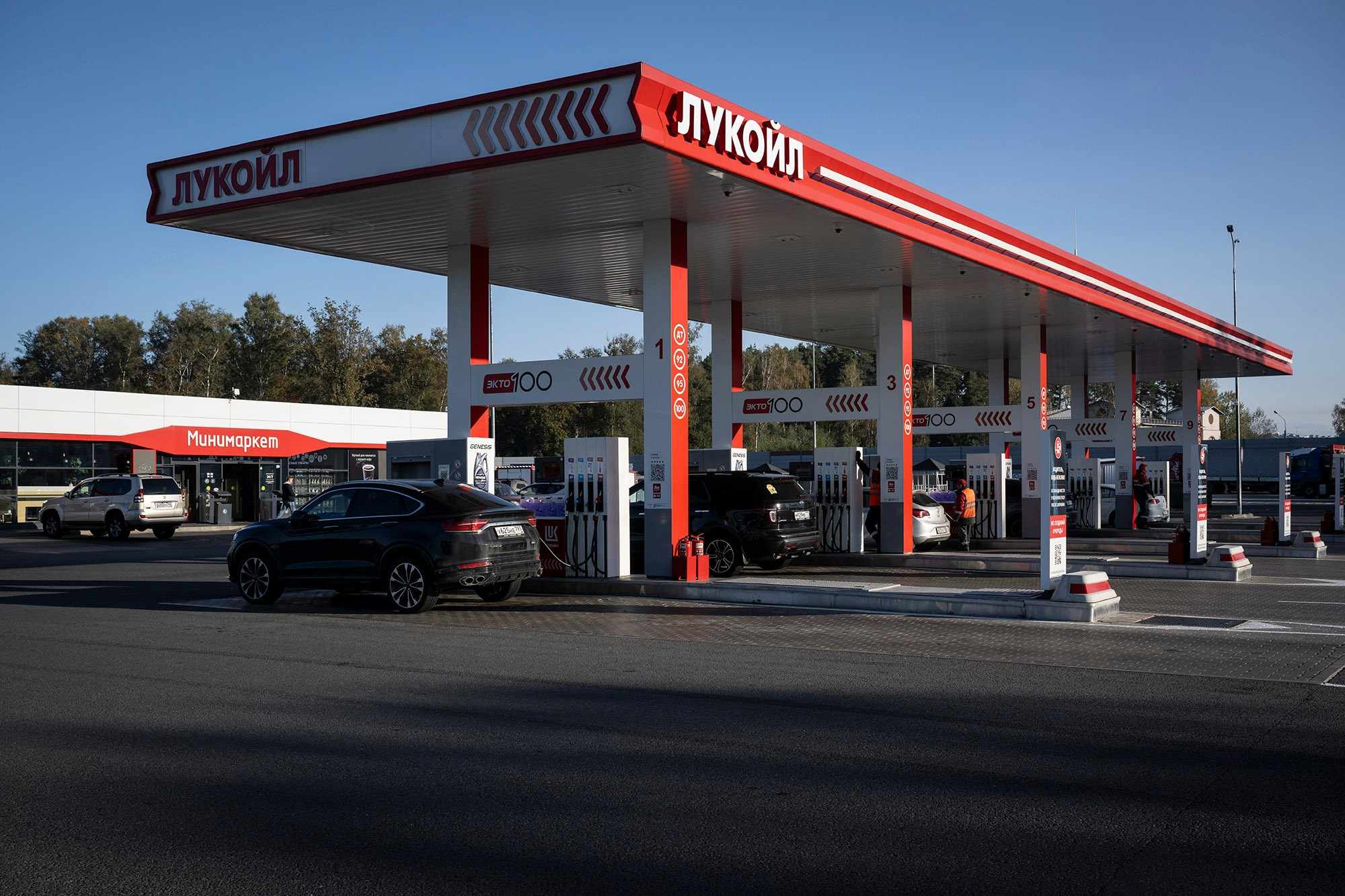 © Natalia Kolesnikova