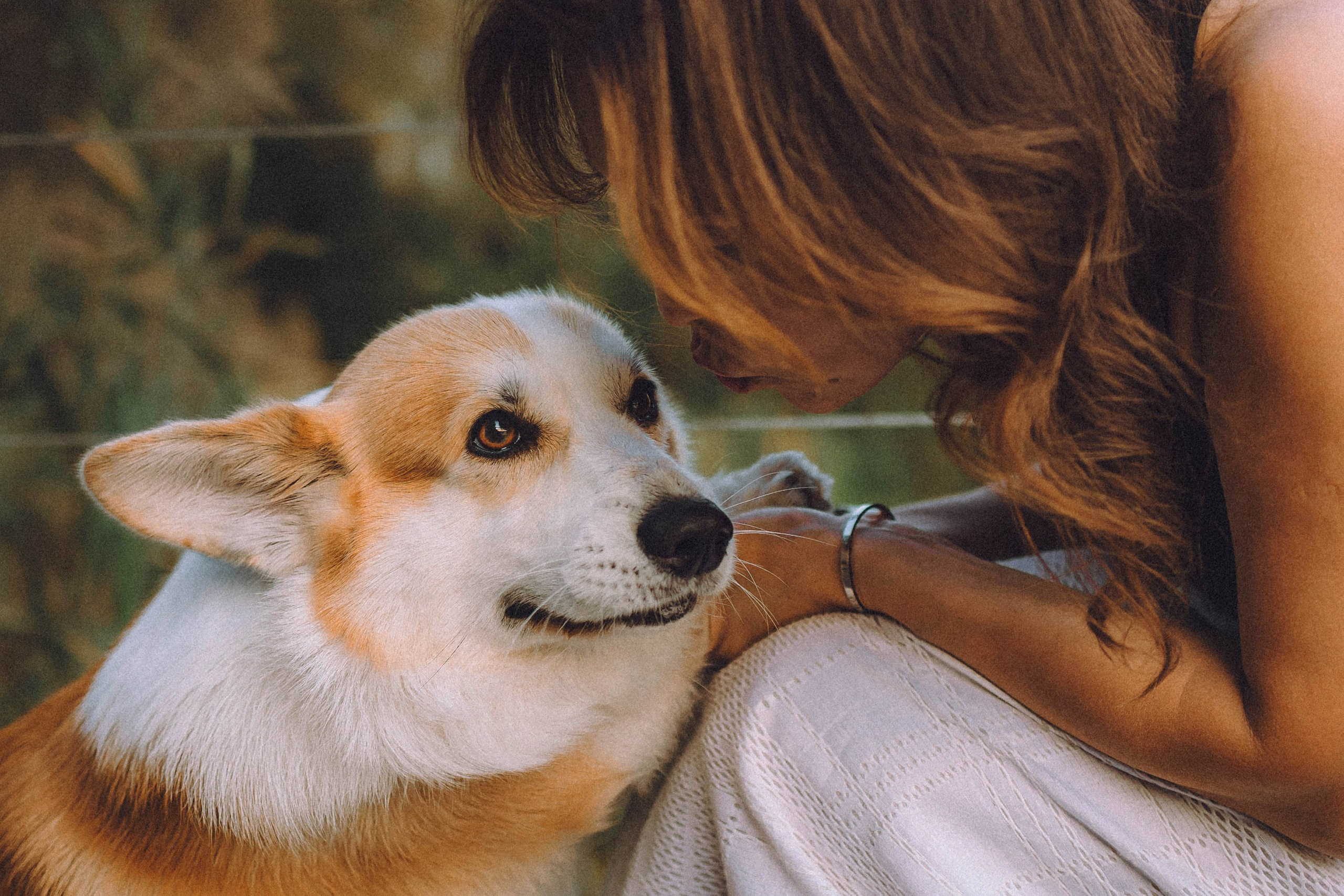 Арчи и его семья