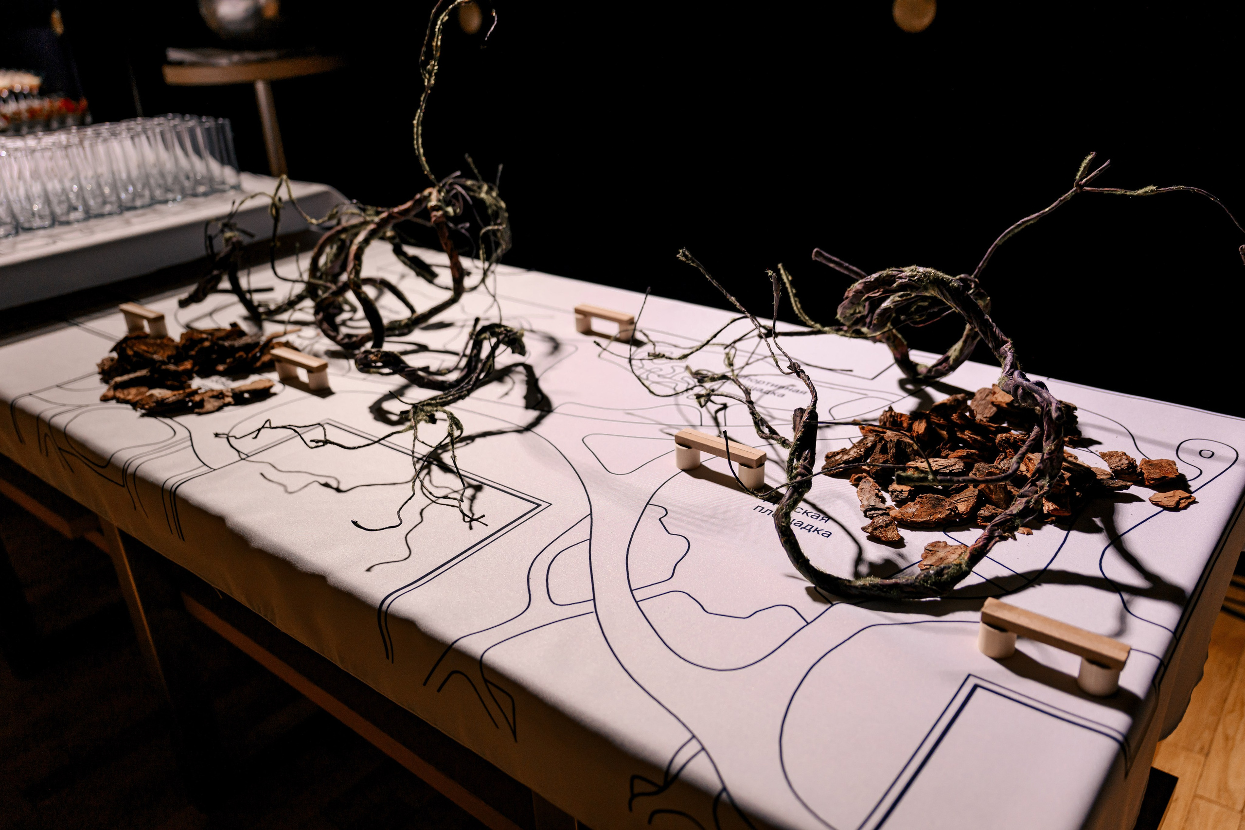 Атлас Девелопмент. Максим Комаров — Профессиональный фотограф